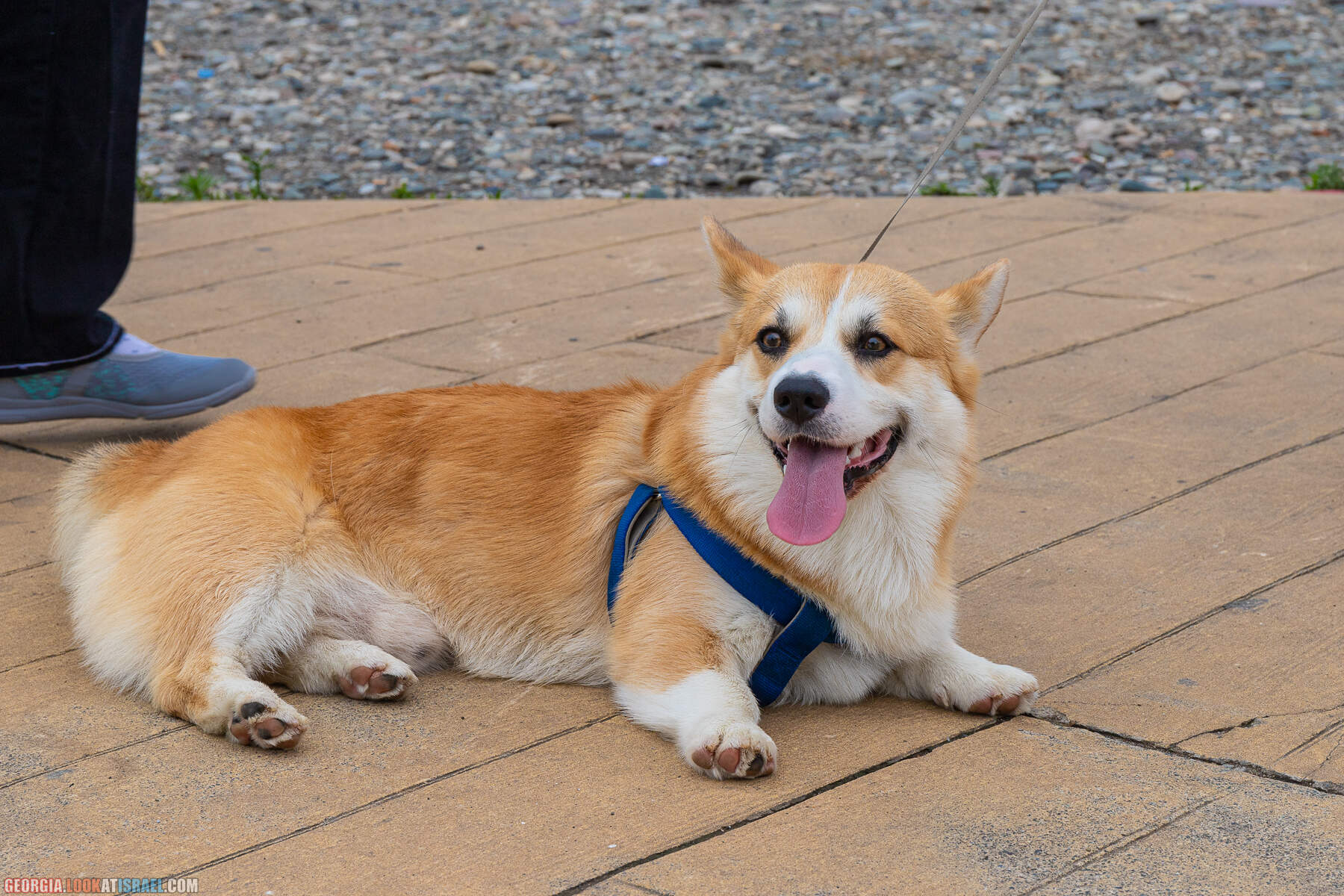 Батуми - город у Черного моря, конкурент Лас Вегаса