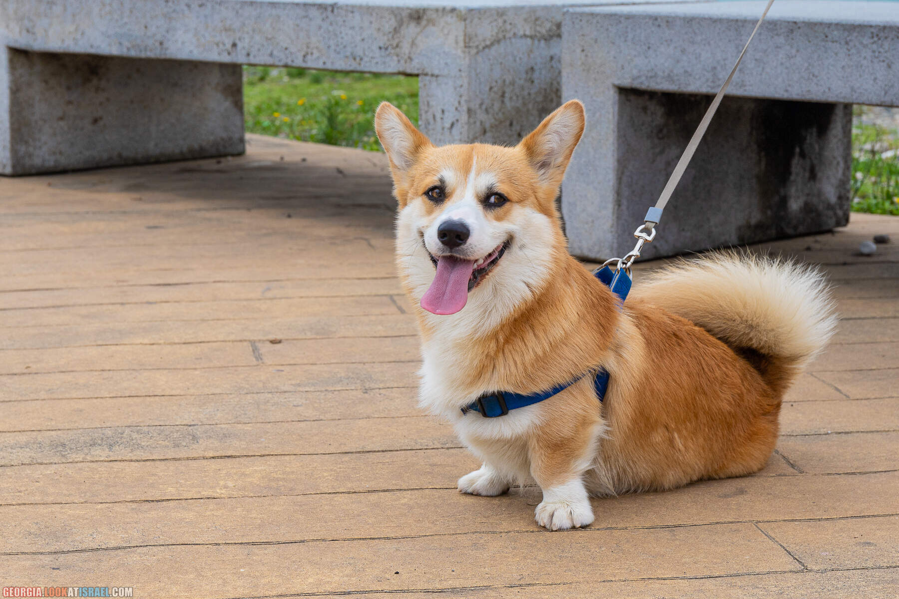 Батуми - город у Черного моря, конкурент Лас Вегаса