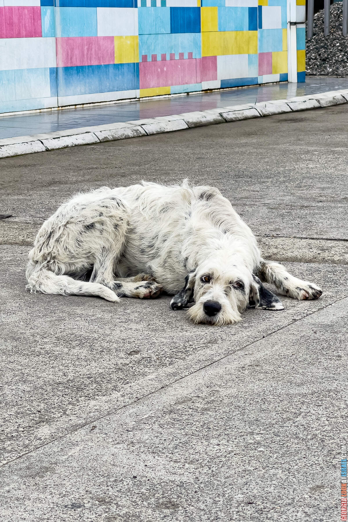 Батуми - город у Черного моря, конкурент Лас Вегаса