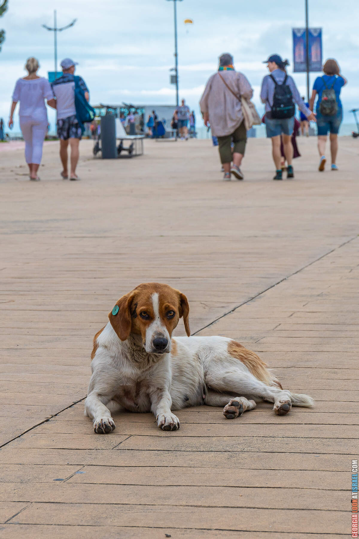Батуми - город у Черного моря, конкурент Лас Вегаса