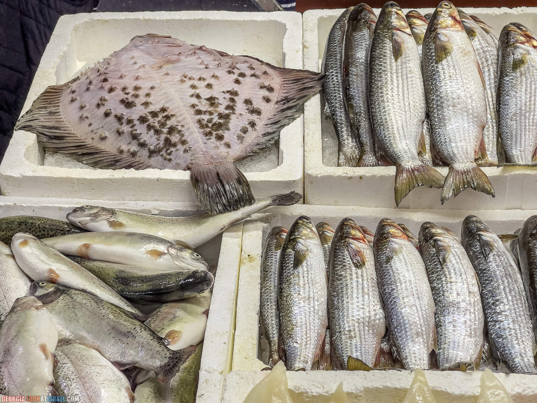 Батуми - город у Черного моря, конкурент Лас Вегаса