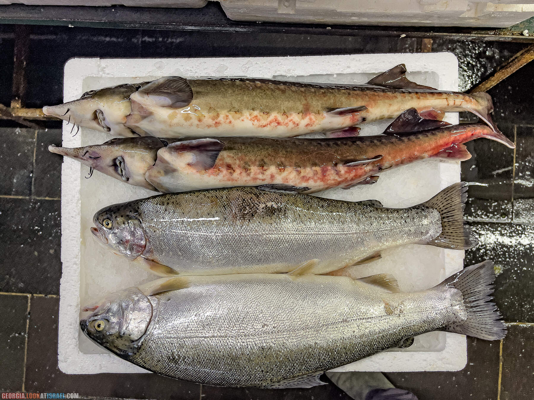 Батуми - город у Черного моря, конкурент Лас Вегаса