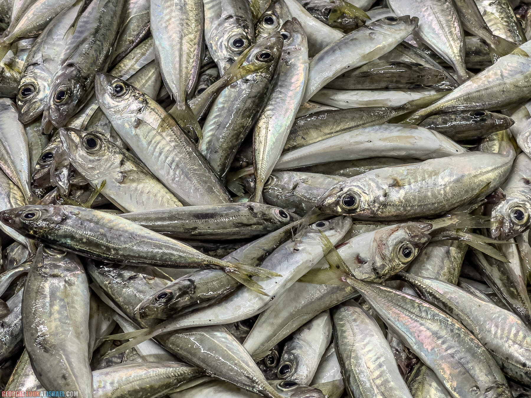 Батуми - город у Черного моря, конкурент Лас Вегаса