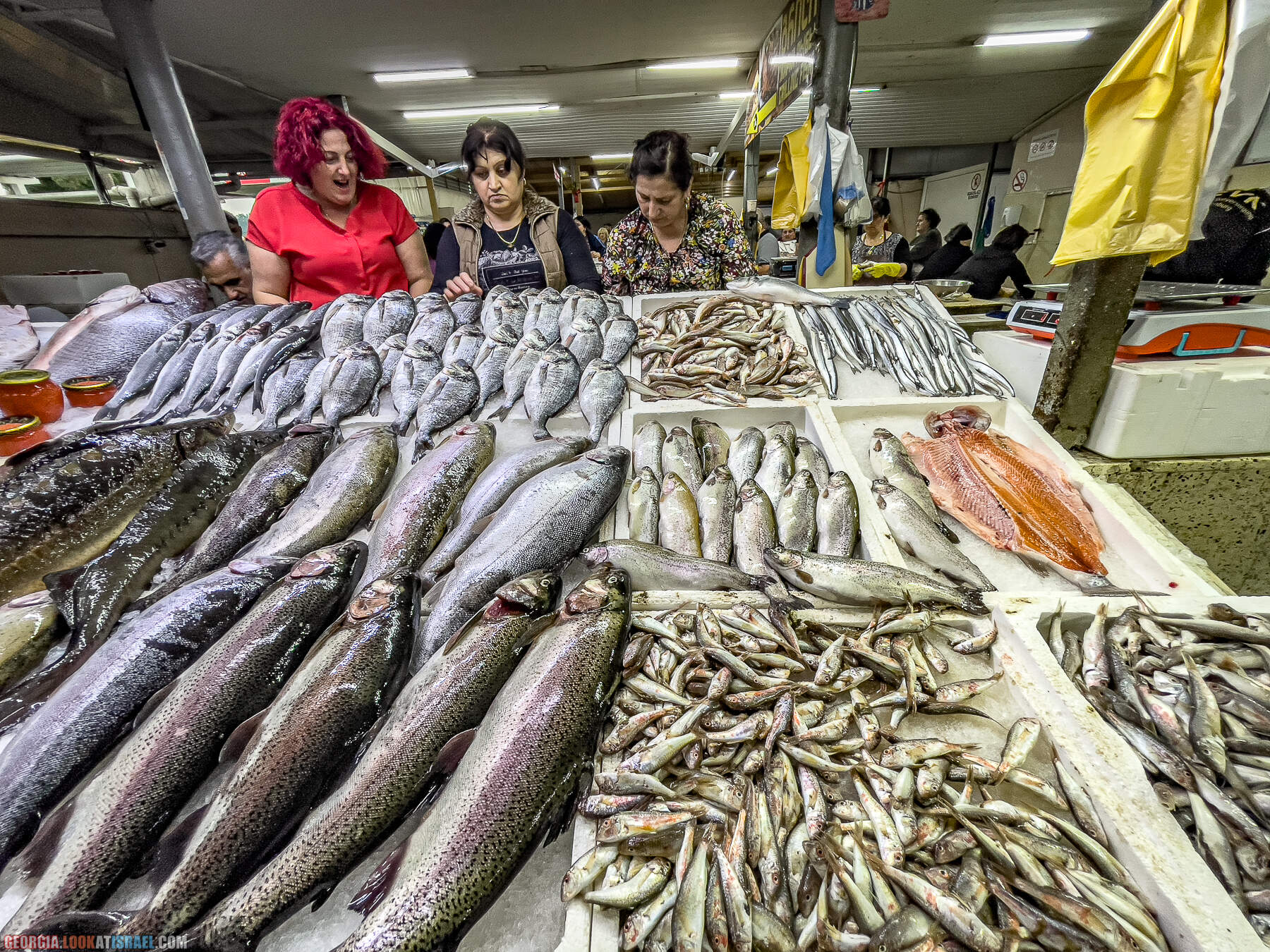Батуми - город у Черного моря, конкурент Лас Вегаса
