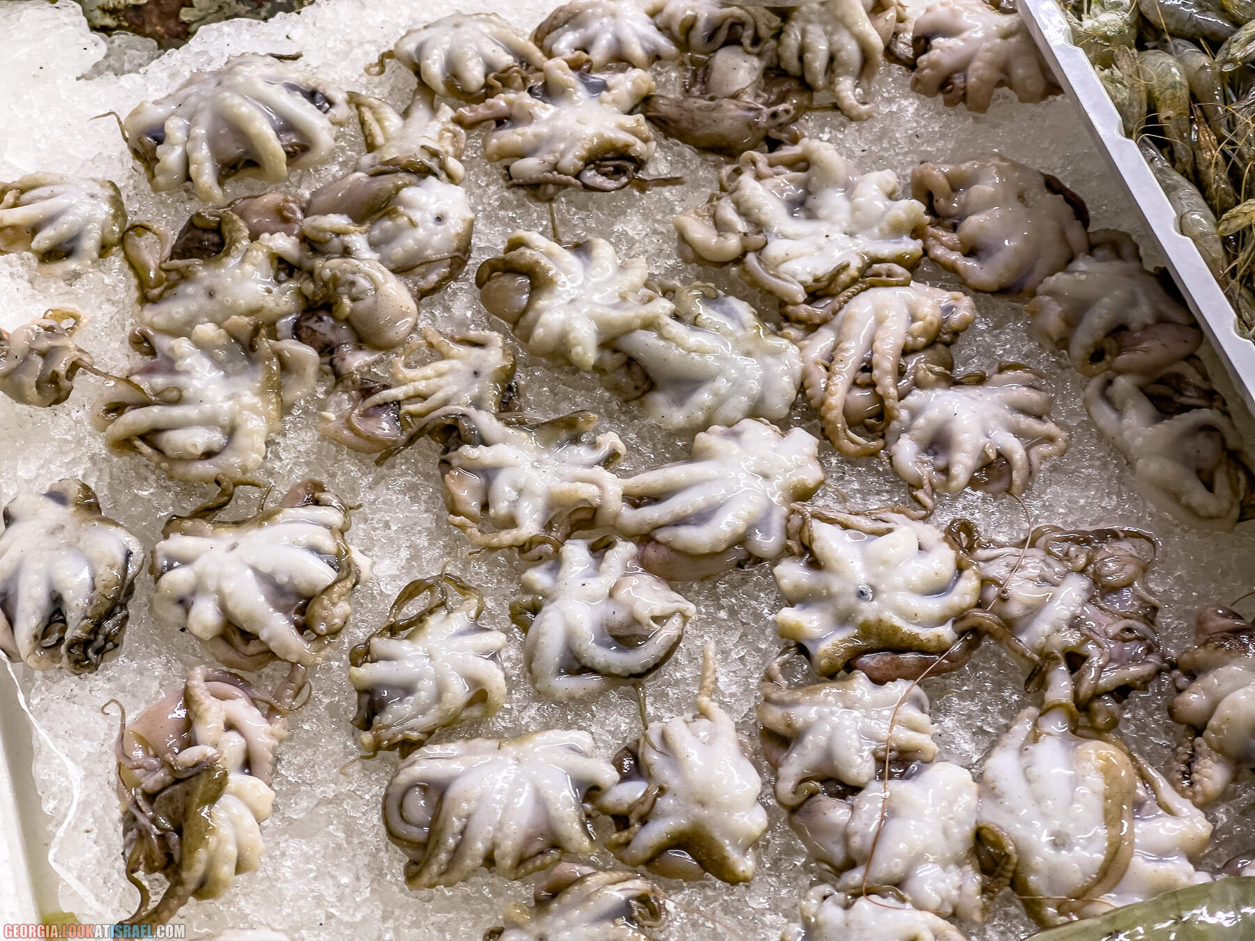 Батуми - город у Черного моря, конкурент Лас Вегаса