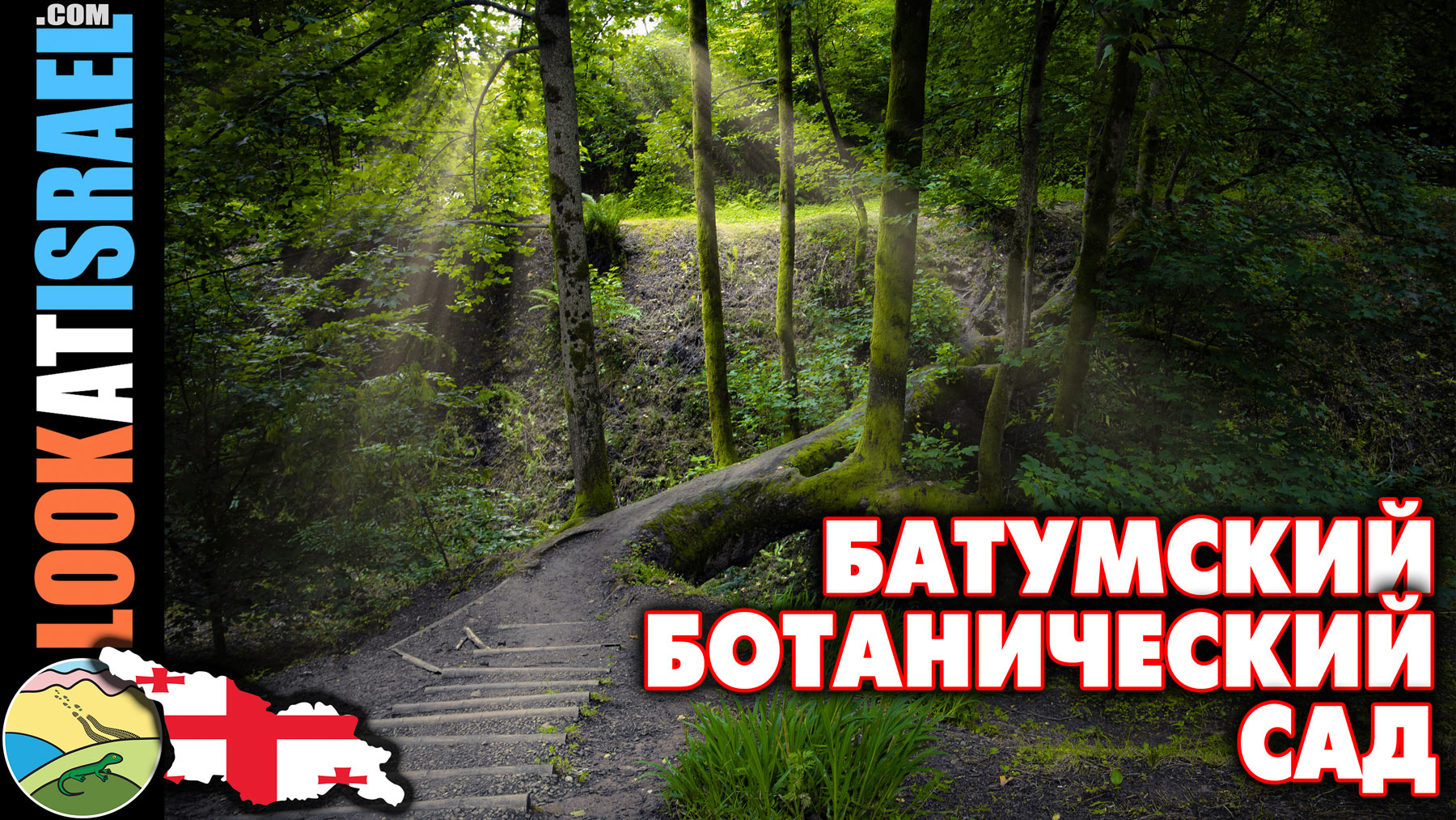 Батумский ботанический сад