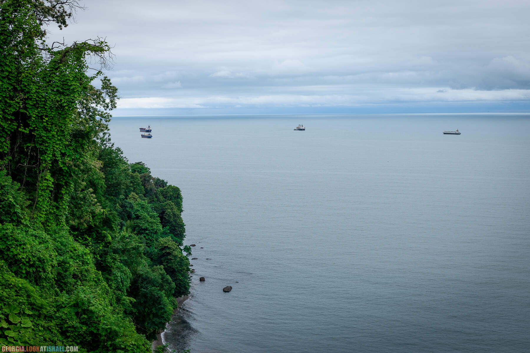 Ботанический сад Батуми