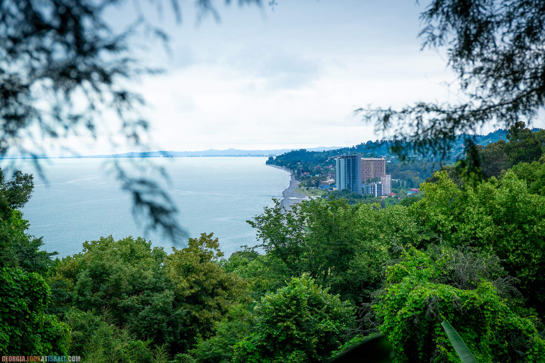 Ботанический сад Батуми