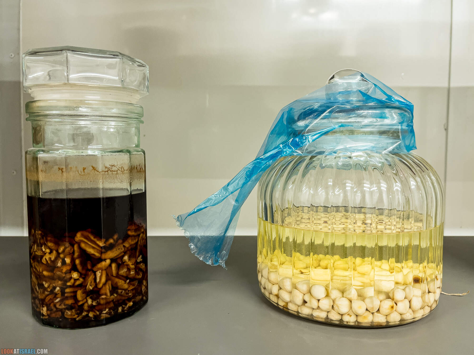 ликёрный бутик-завод ONA в киббуце Рамат Рахель