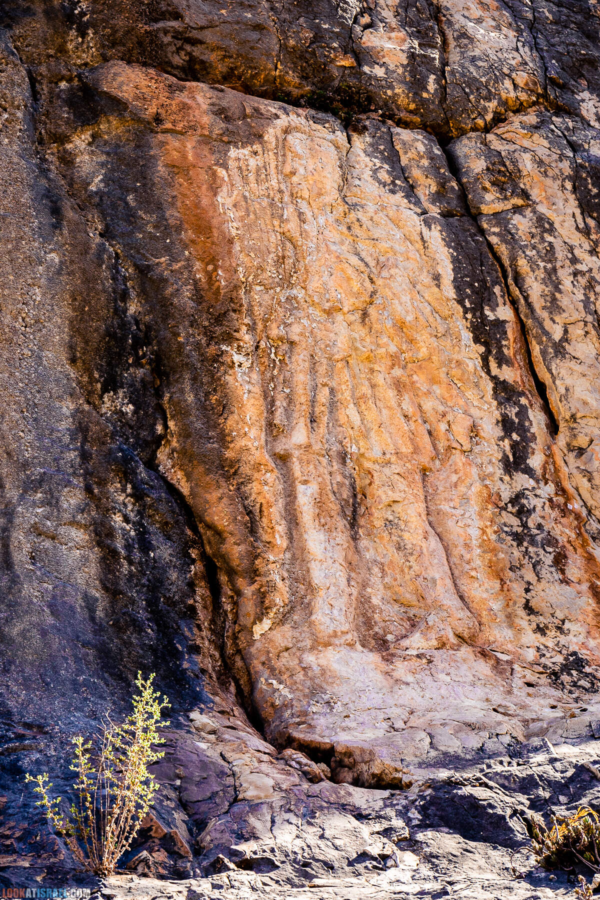 Неизвестный известный Кзив - Человек на стене, Эйн Зив