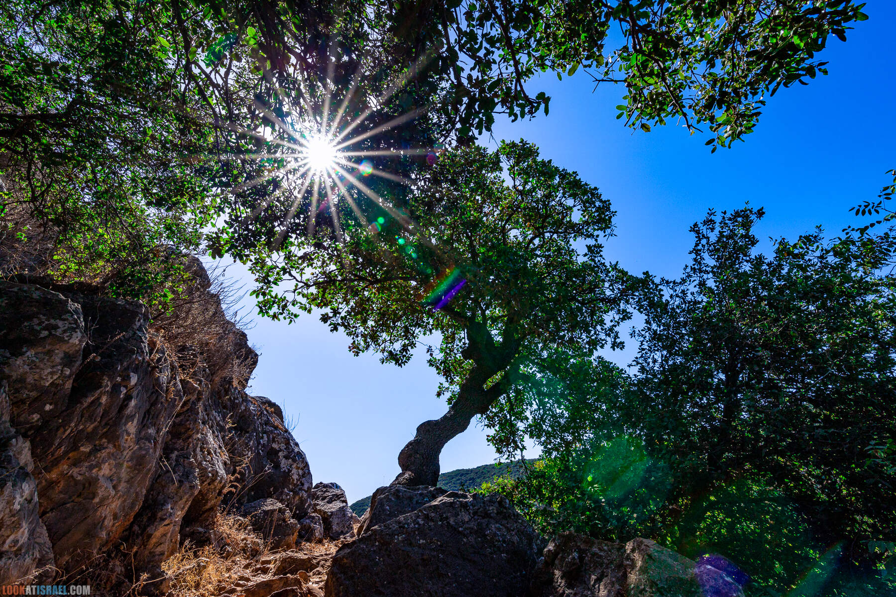 Неизвестный известный Кзив - Человек на стене, Эйн Зив