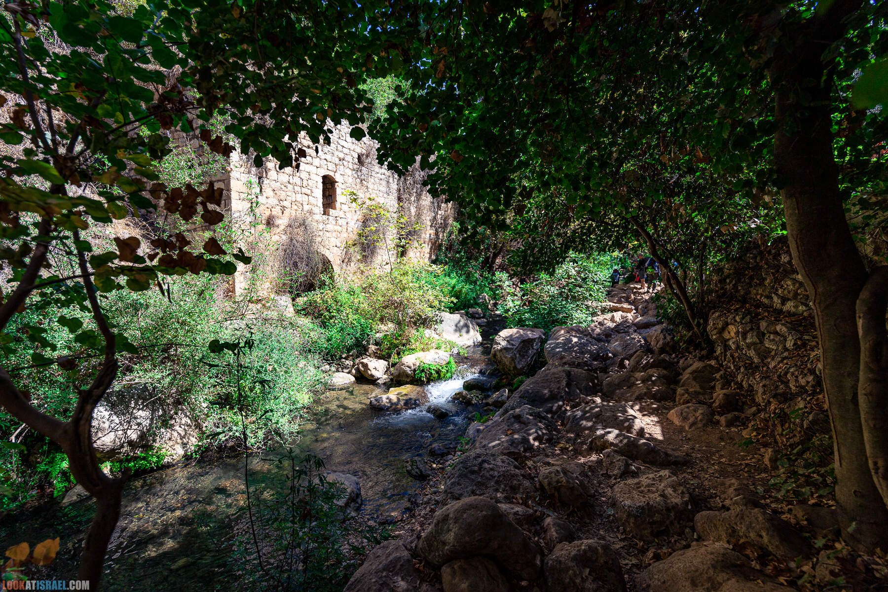 Неизвестный известный Кзив - Человек на стене, Эйн Зив