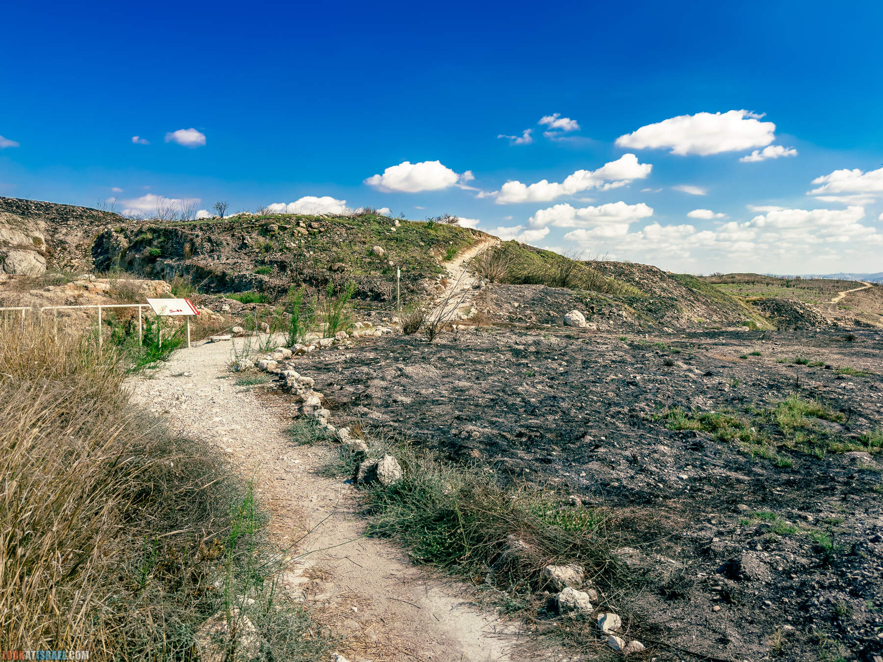 Прогулки с хвостом - маршрут для прогулок с собакой - Тель Гезер после пожара