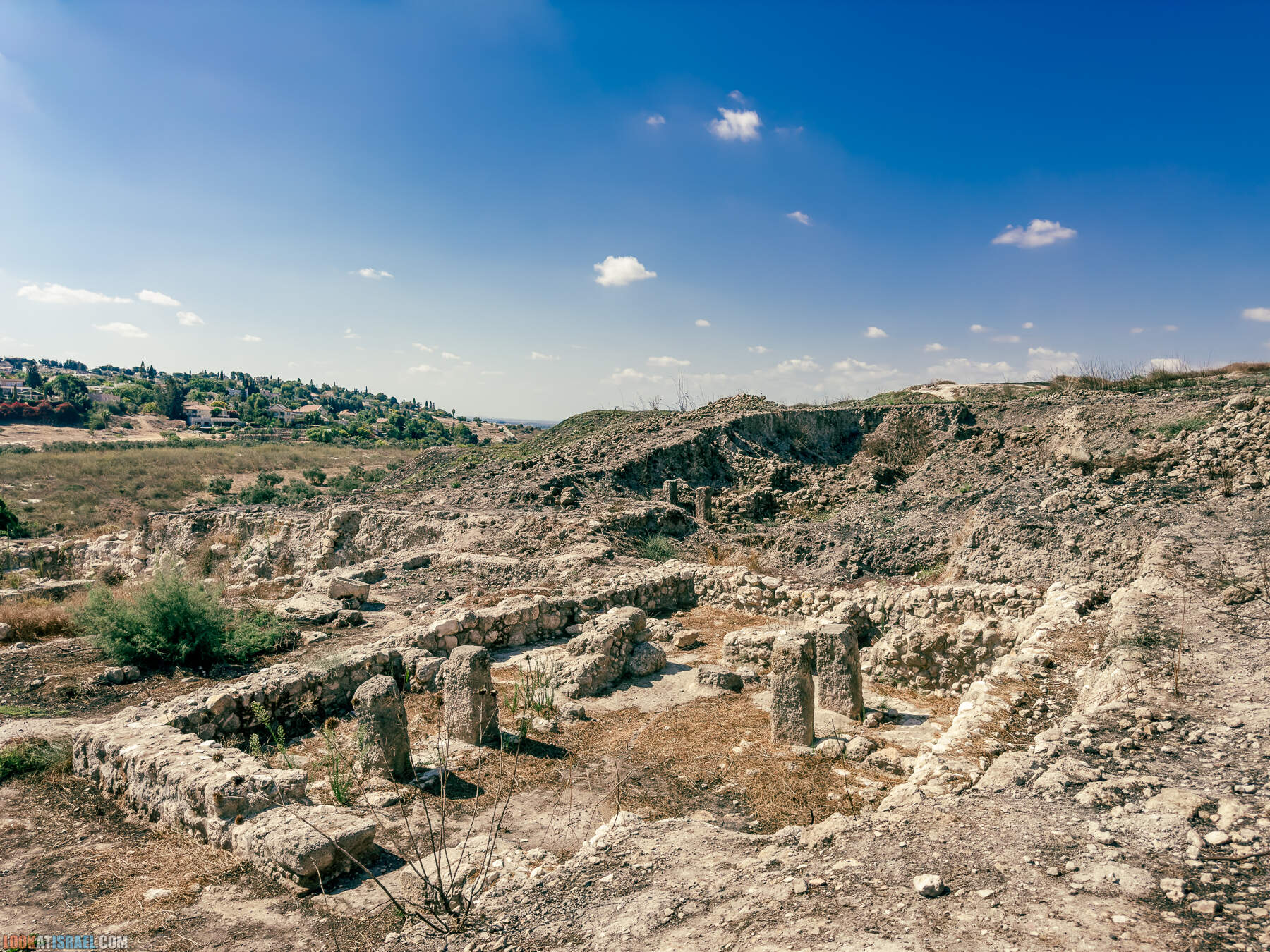 Прогулки с хвостом - маршрут для прогулок с собакой - Тель Гезер после пожара