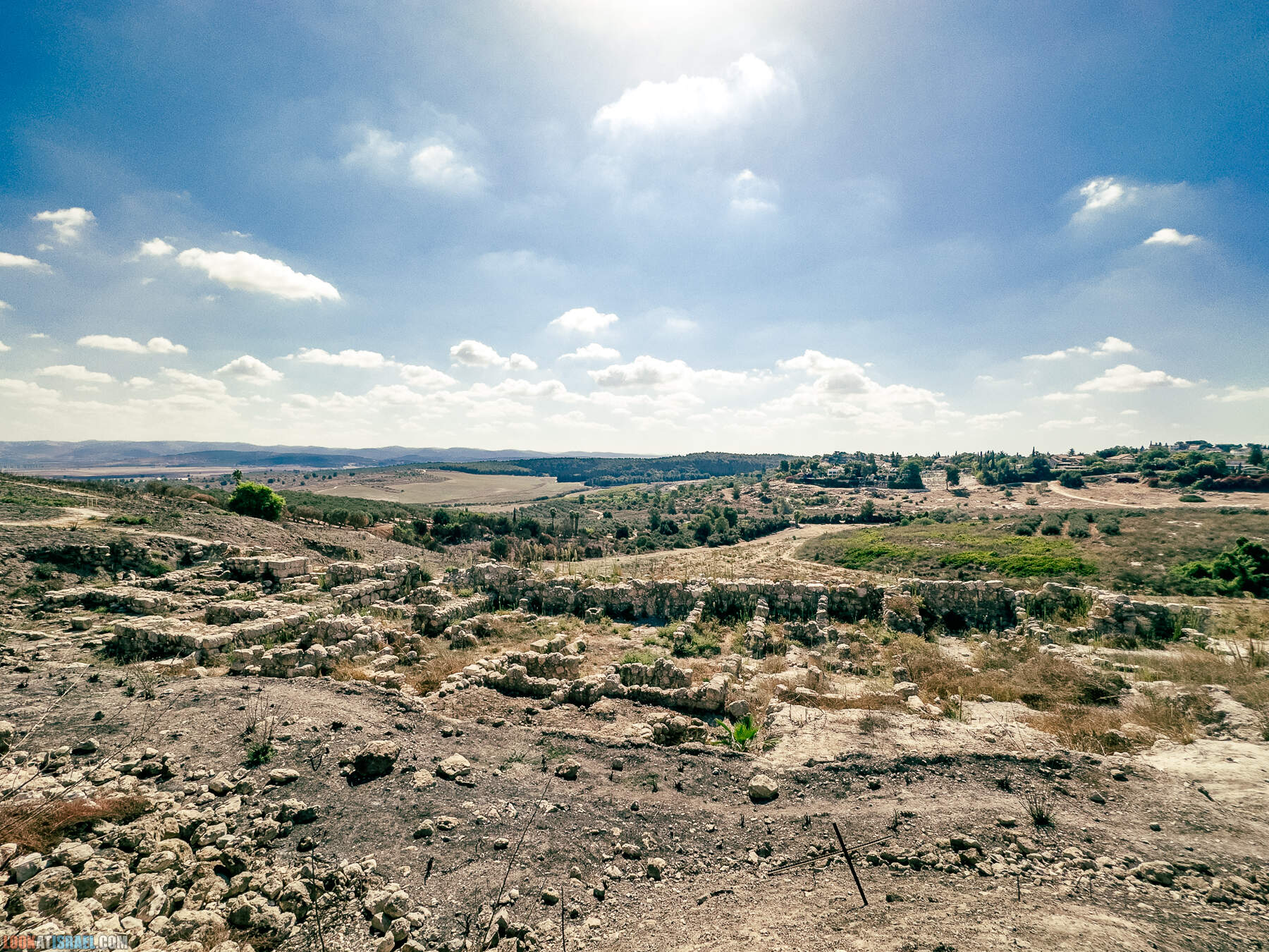 Прогулки с хвостом - маршрут для прогулок с собакой - Тель Гезер после пожара