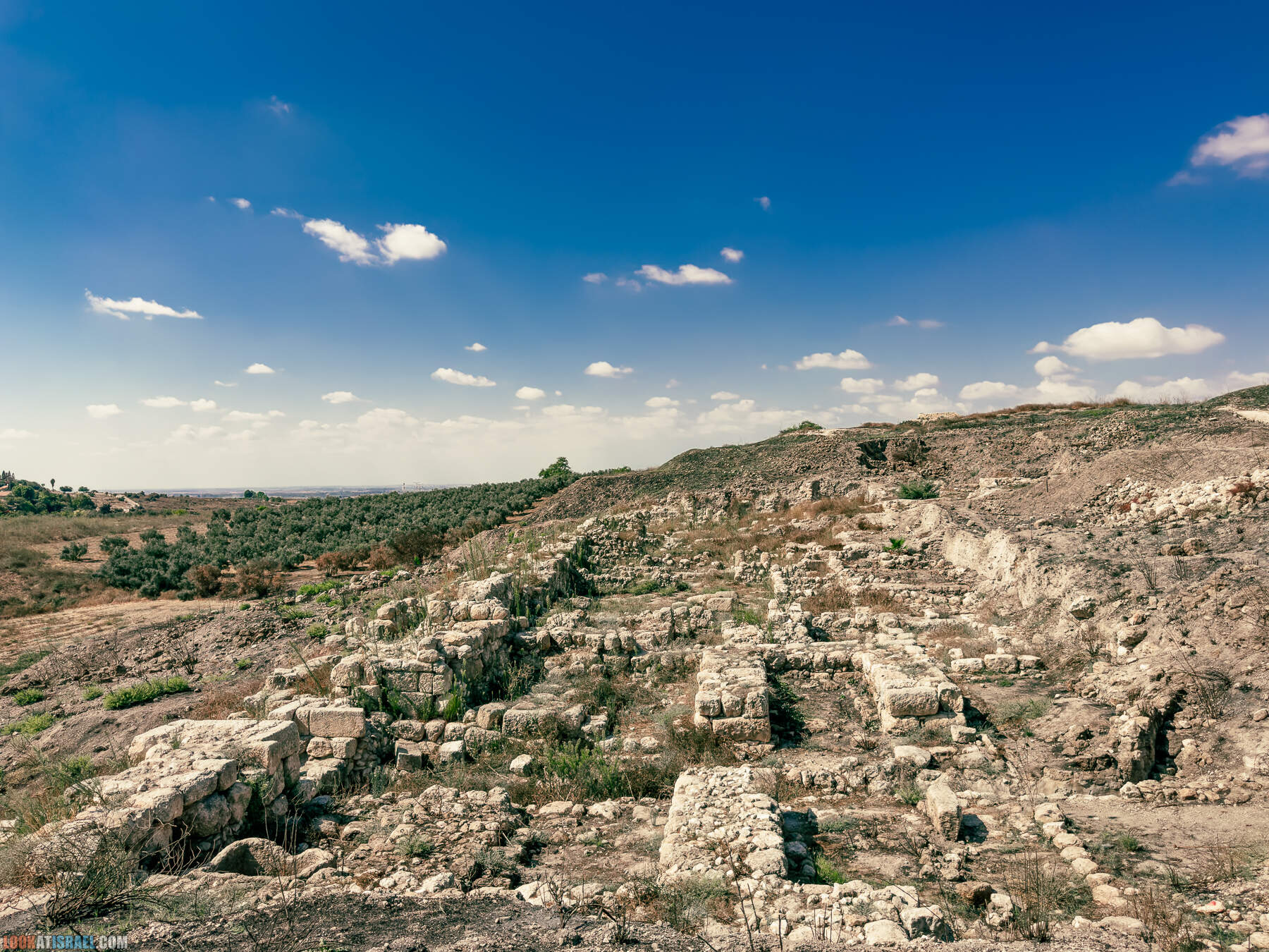 Прогулки с хвостом - маршрут для прогулок с собакой - Тель Гезер после пожара