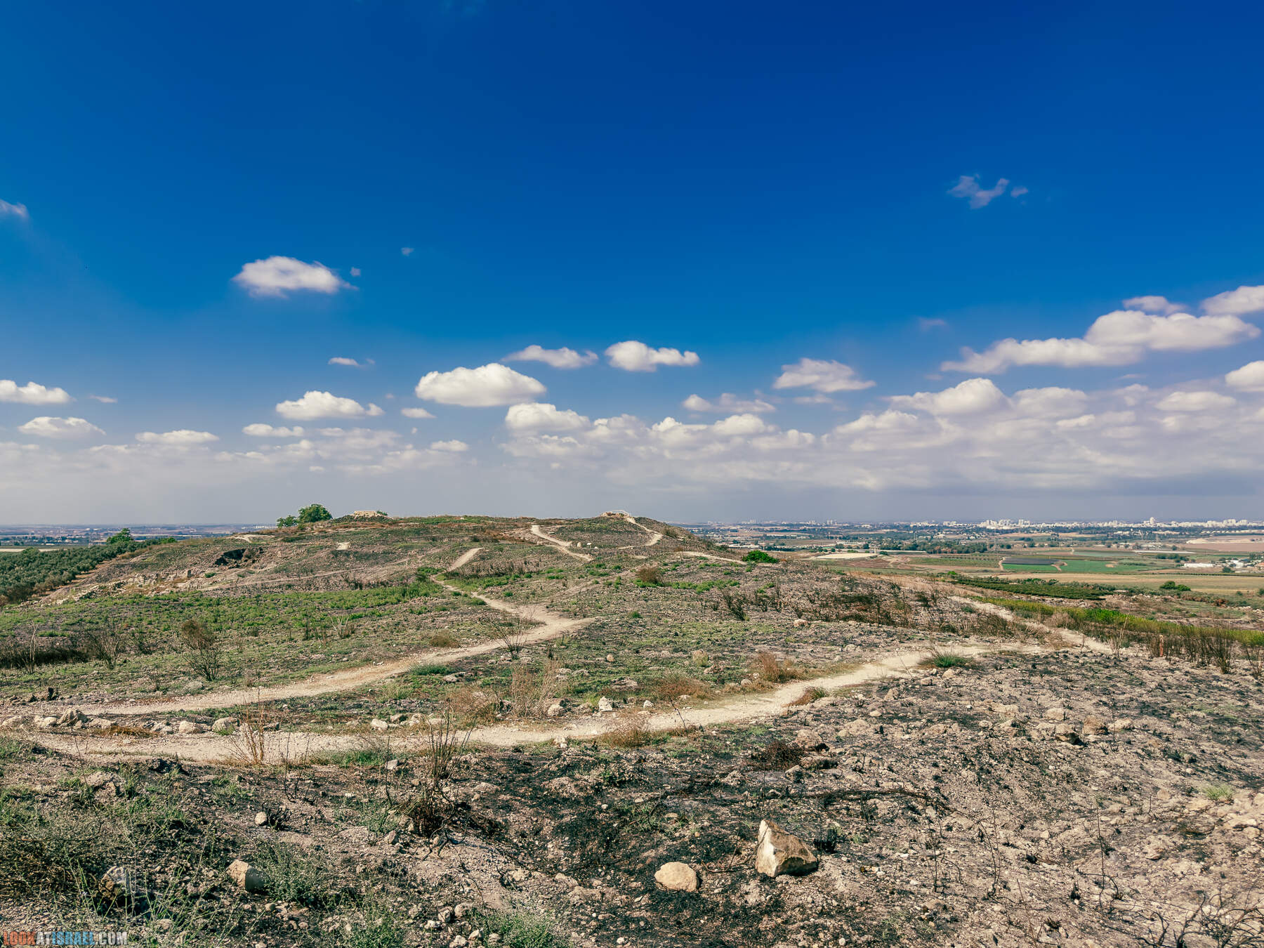 Прогулки с хвостом - маршрут для прогулок с собакой - Тель Гезер после пожара