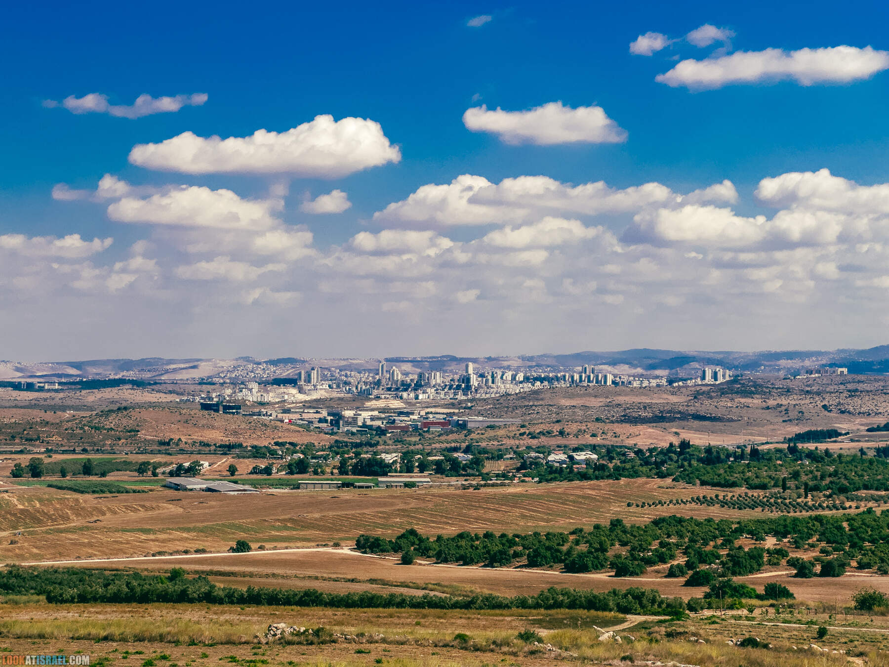 Прогулки с хвостом - маршрут для прогулок с собакой - Тель Гезер после пожара
