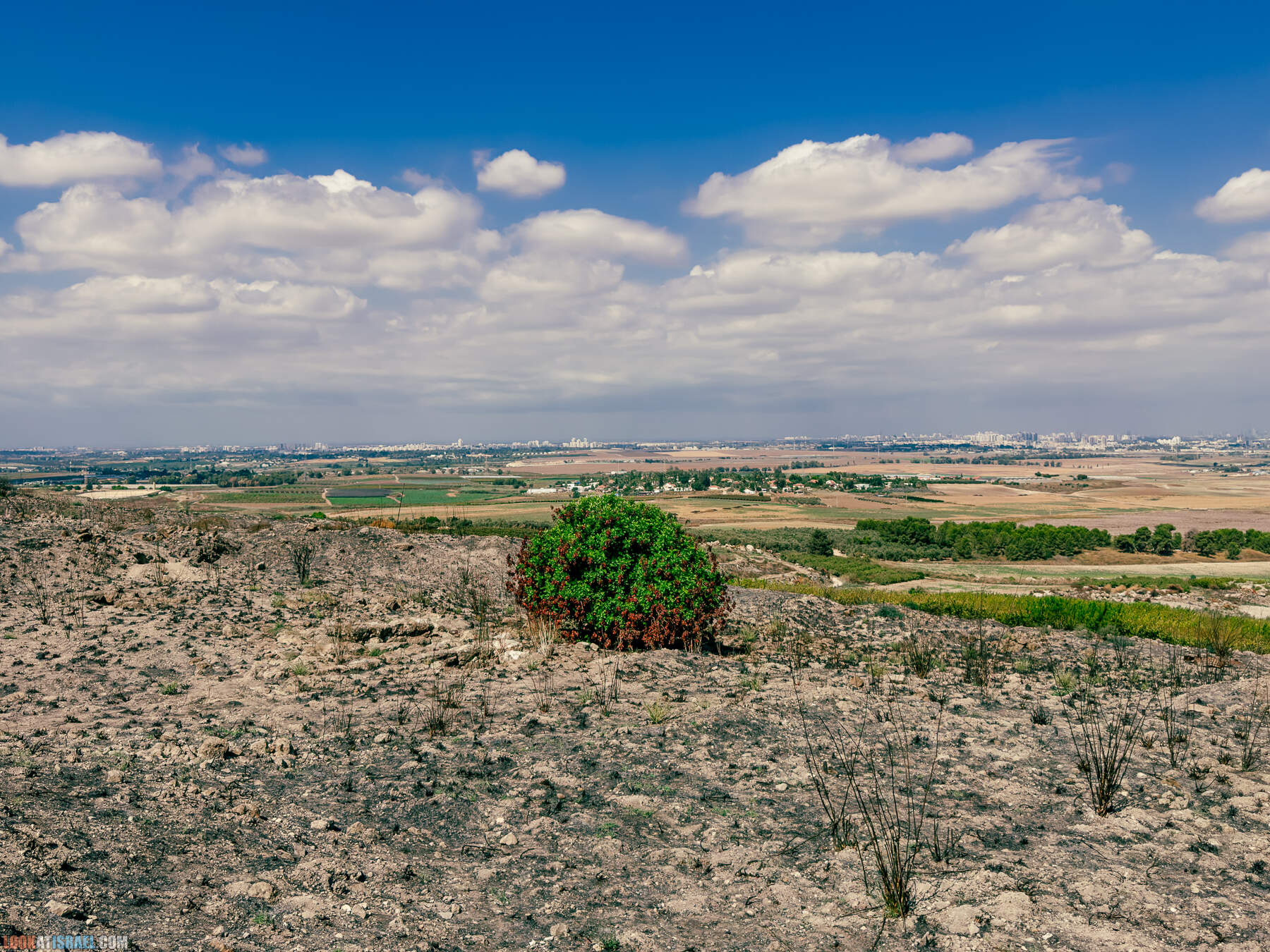 Прогулки с хвостом - маршрут для прогулок с собакой - Тель Гезер после пожара