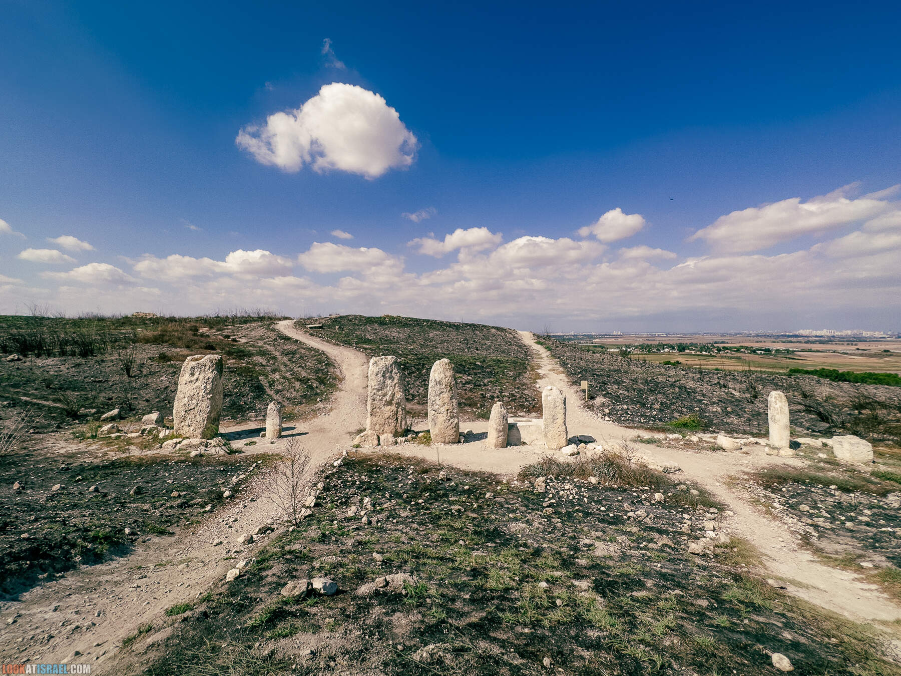 Прогулки с хвостом - маршрут для прогулок с собакой - Тель Гезер после пожара