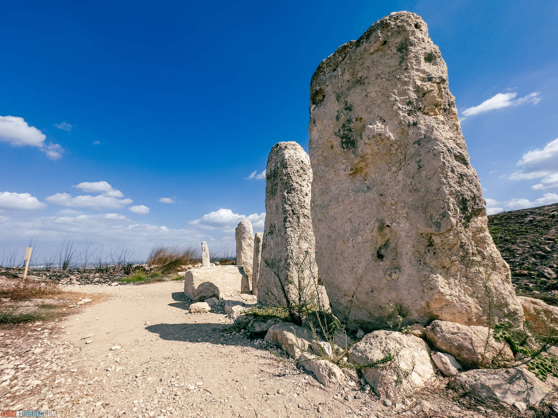 Прогулки с хвостом - маршрут для прогулок с собакой - Тель Гезер после пожара