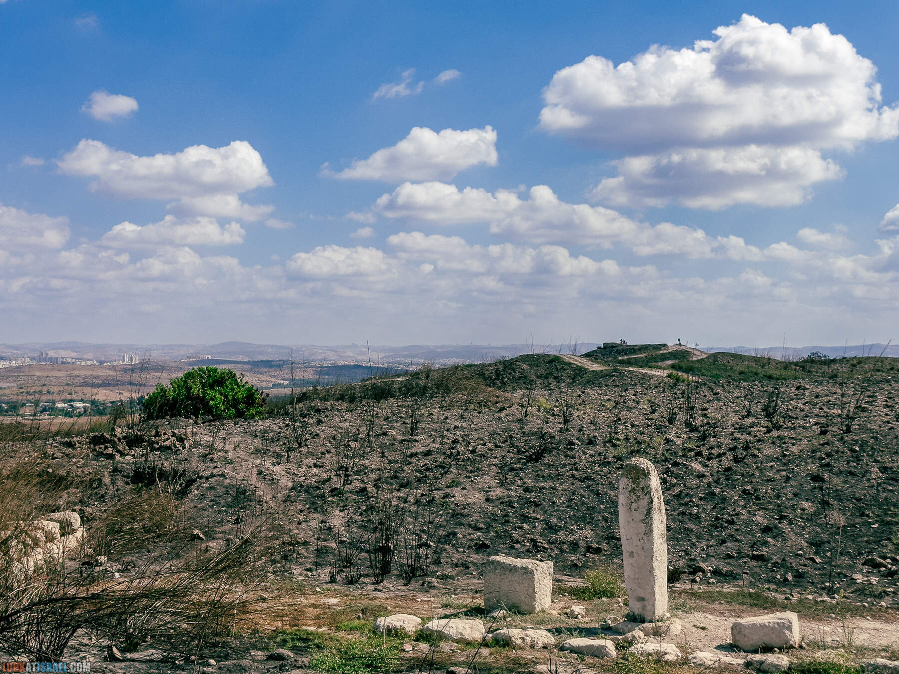 Прогулки с хвостом - маршрут для прогулок с собакой - Тель Гезер после пожара