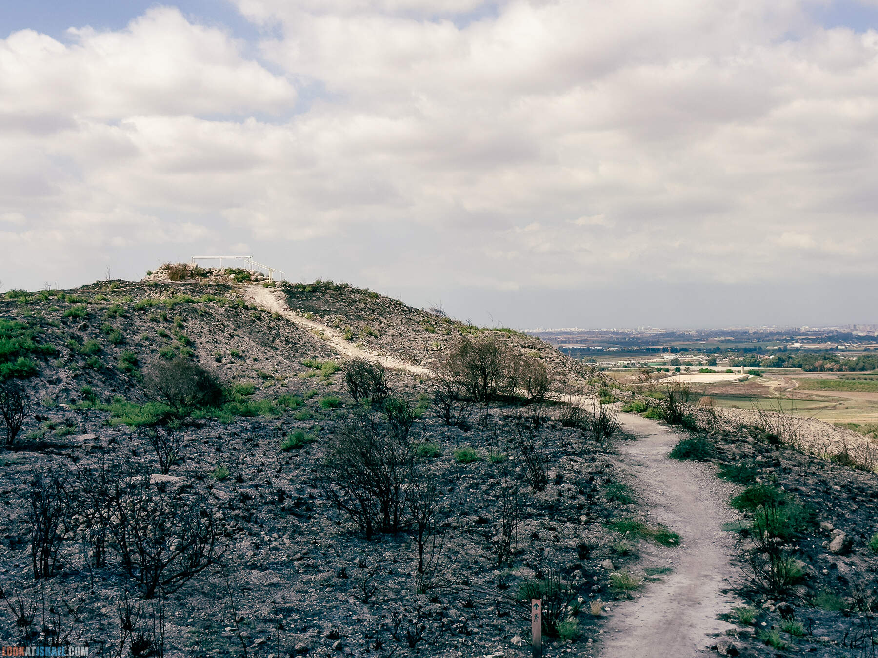 Прогулки с хвостом - маршрут для прогулок с собакой - Тель Гезер после пожара