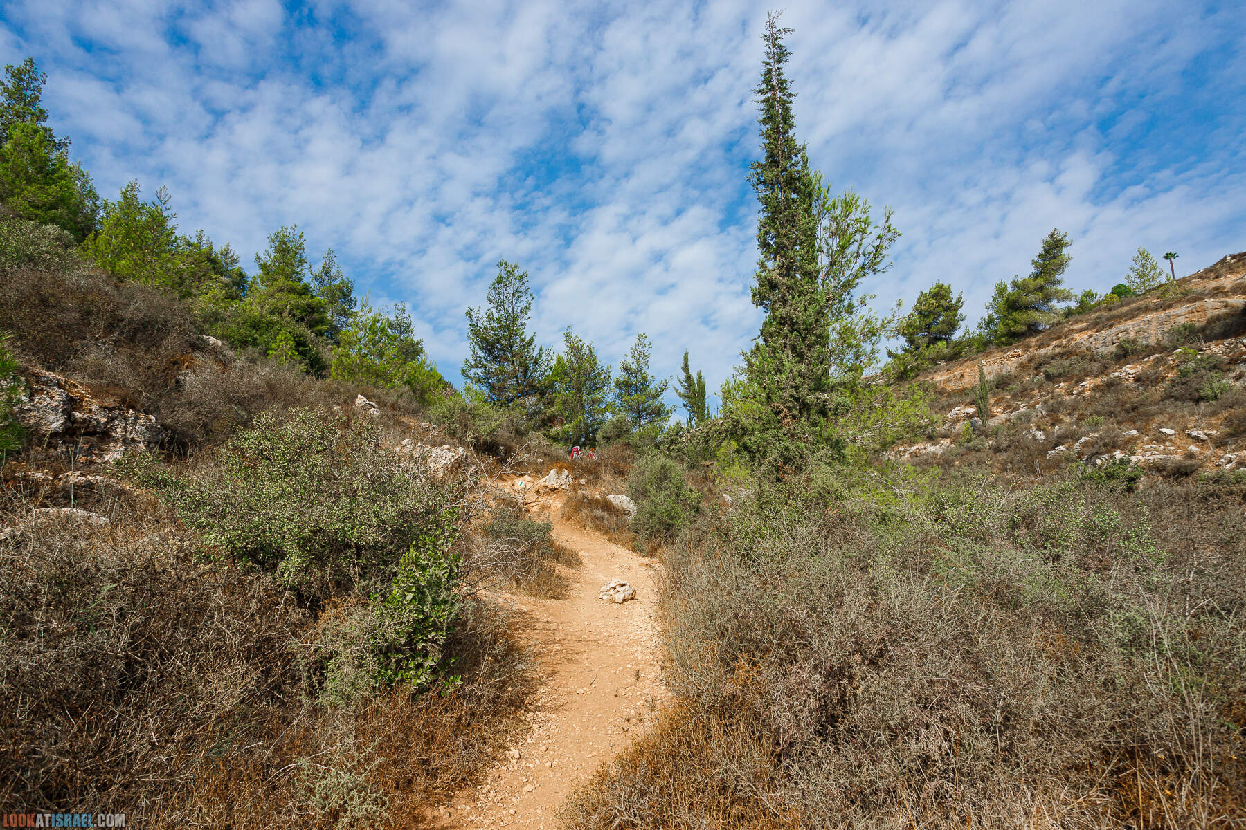 Поход вокруг Мевасерет Цион - Ущелья Халилим и Луза. Мосты Иерусалима