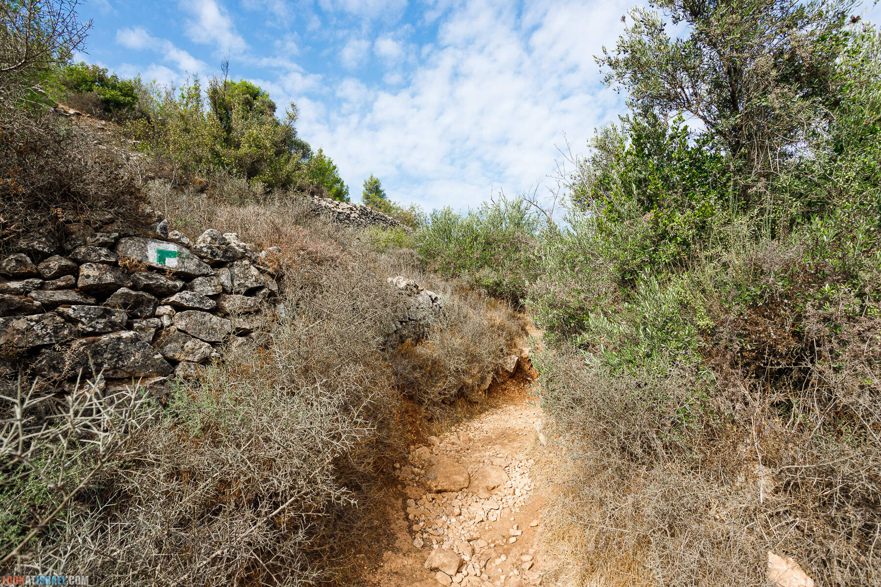 Поход вокруг Мевасерет Цион - Ущелья Халилим и Луза. Мосты Иерусалима