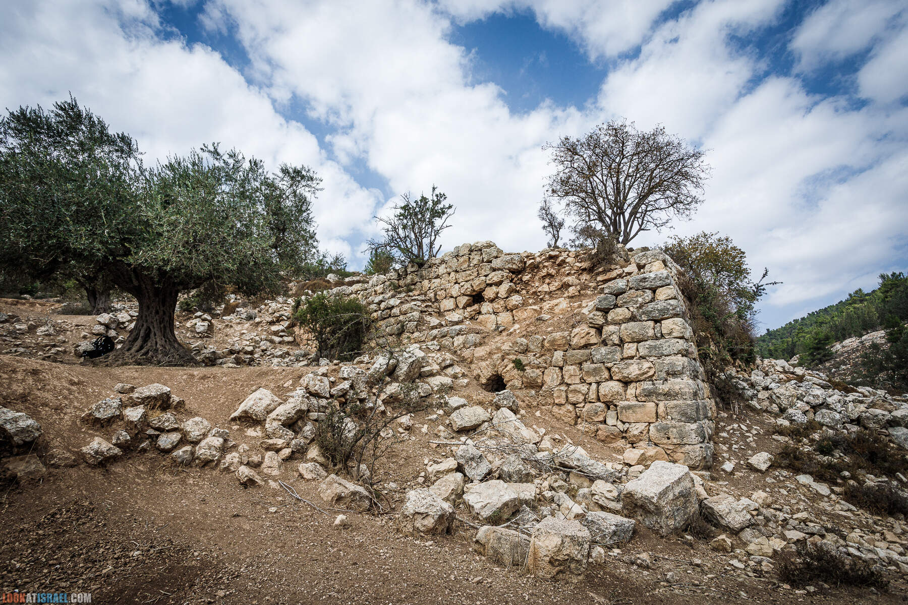 Поход вокруг Мевасерет Цион - Ущелья Халилим и Луза. Мосты Иерусалима