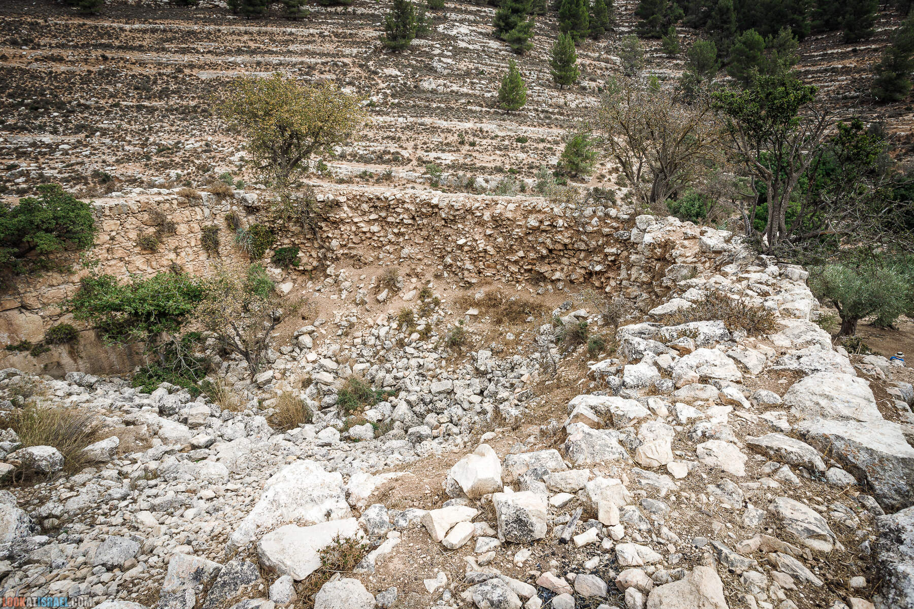 Поход вокруг Мевасерет Цион - Ущелья Халилим и Луза. Мосты Иерусалима