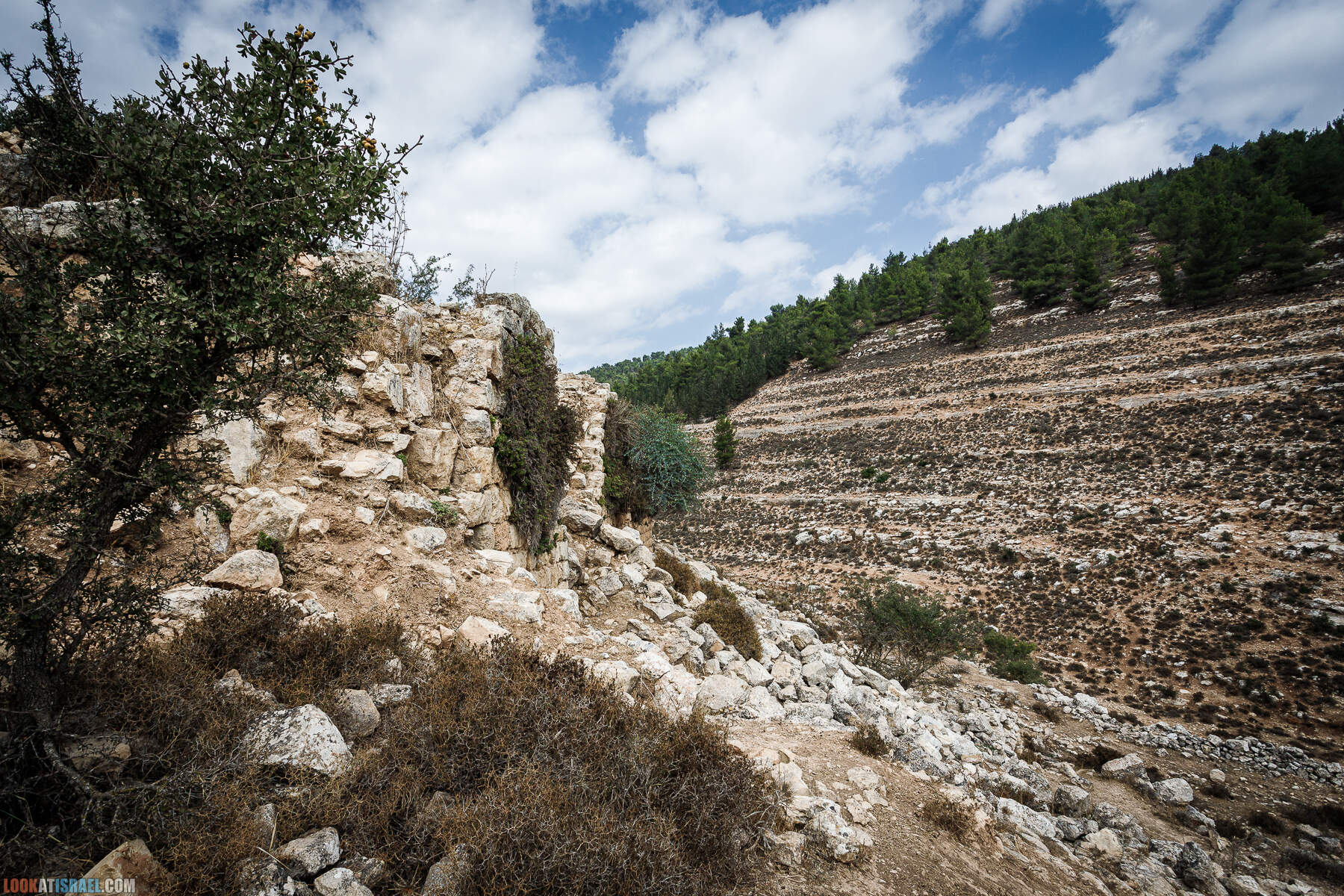 Поход вокруг Мевасерет Цион - Ущелья Халилим и Луза. Мосты Иерусалима