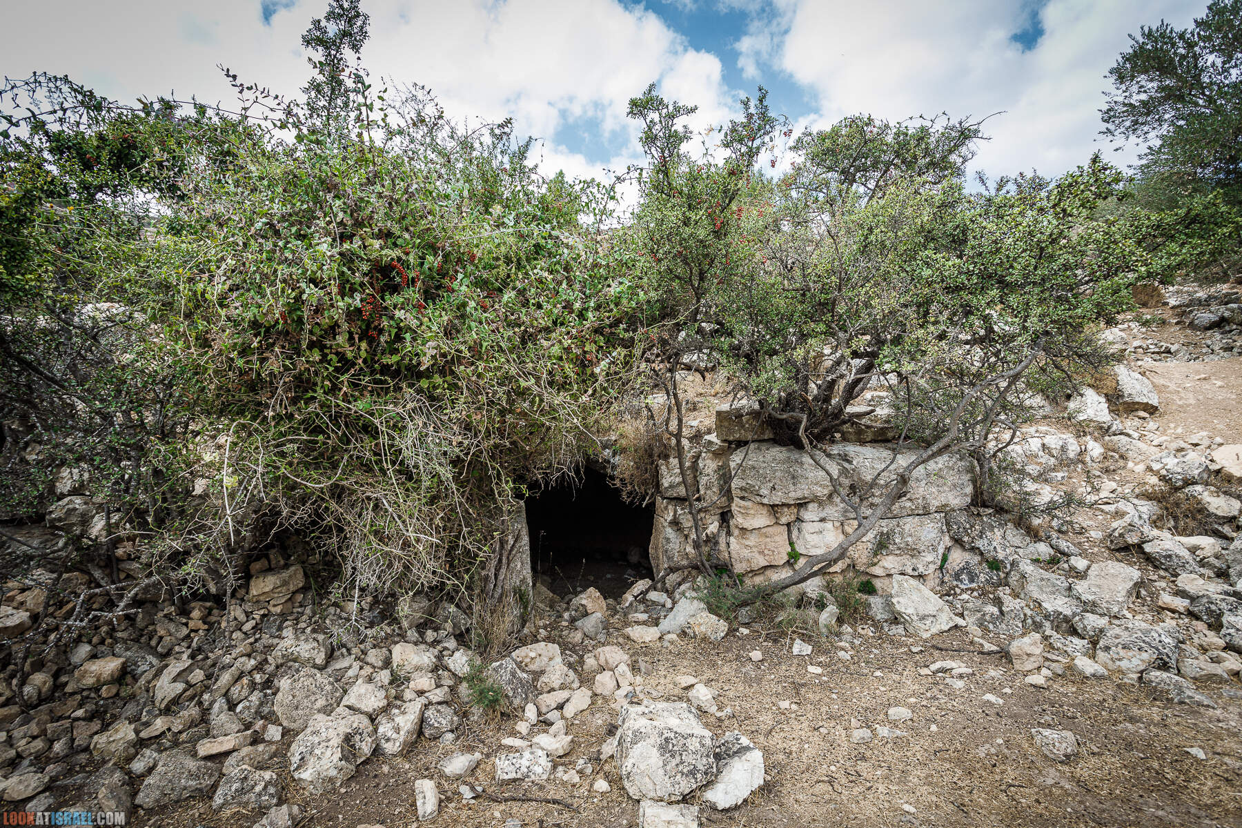 Поход вокруг Мевасерет Цион - Ущелья Халилим и Луза. Мосты Иерусалима