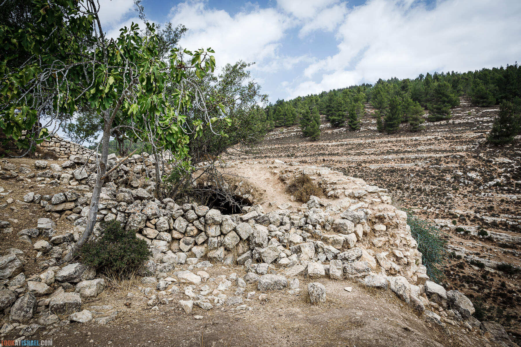 Поход вокруг Мевасерет Цион - Ущелья Халилим и Луза. Мосты Иерусалима
