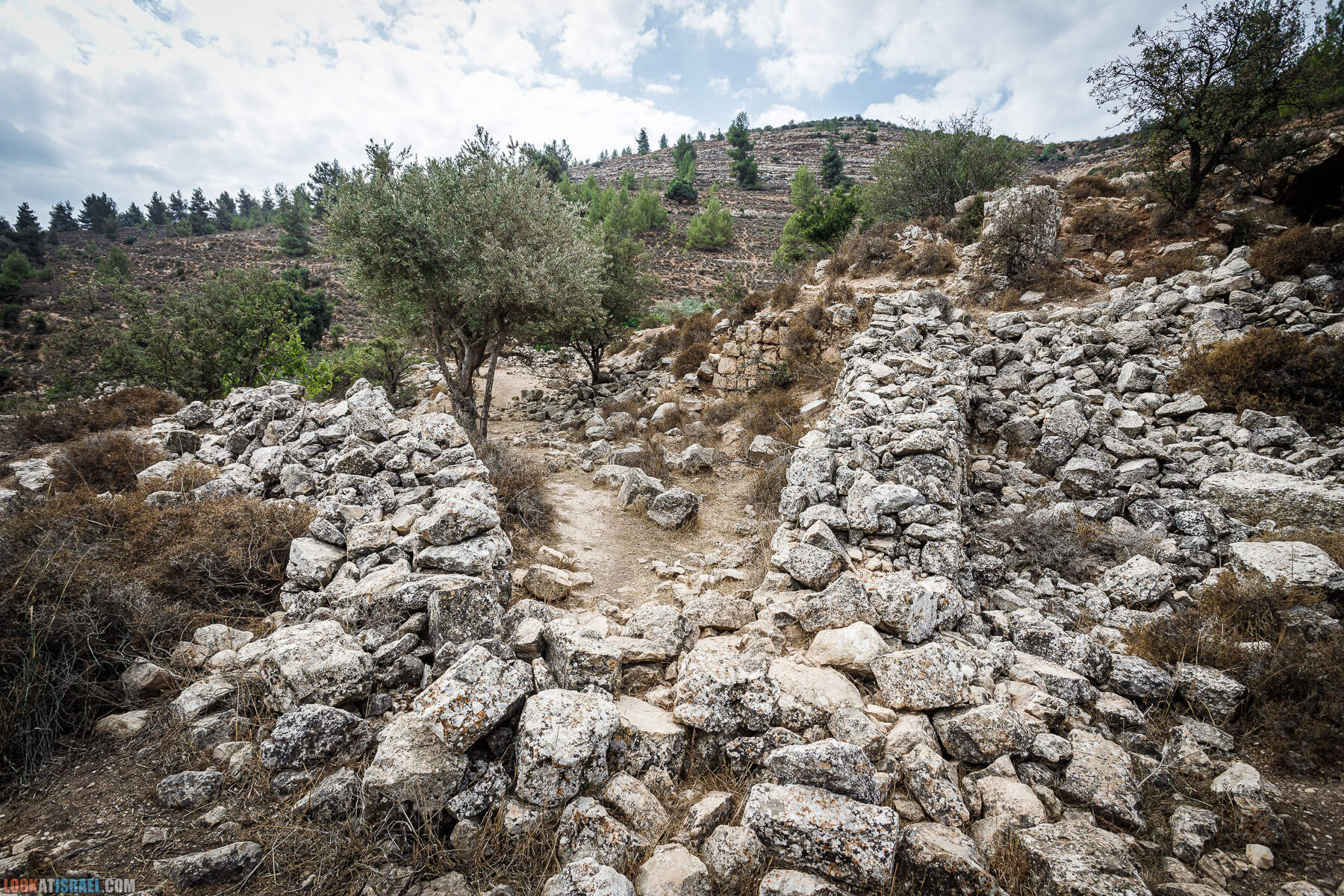 Поход вокруг Мевасерет Цион - Ущелья Халилим и Луза. Мосты Иерусалима