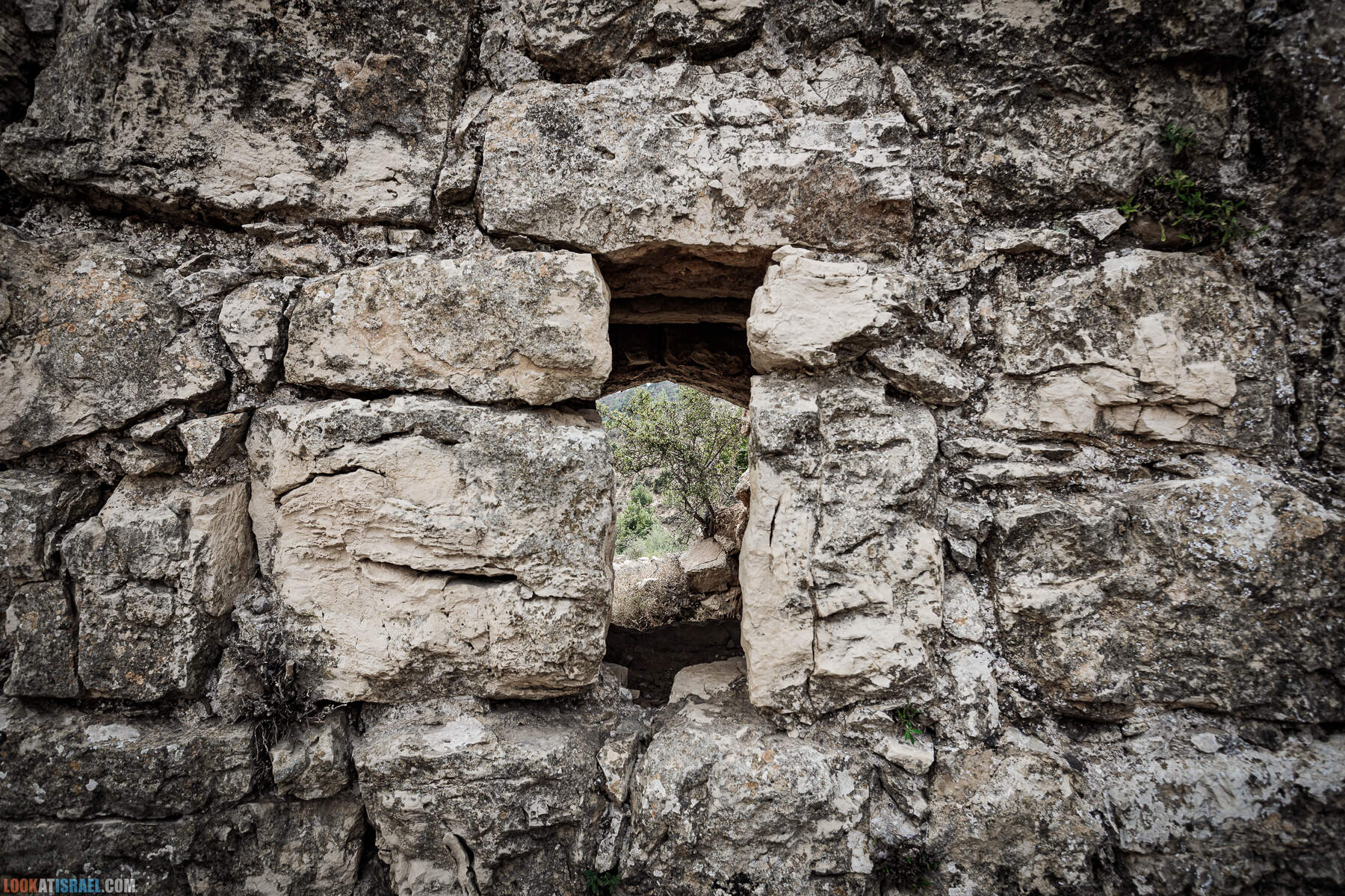 Поход вокруг Мевасерет Цион - Ущелья Халилим и Луза. Мосты Иерусалима
