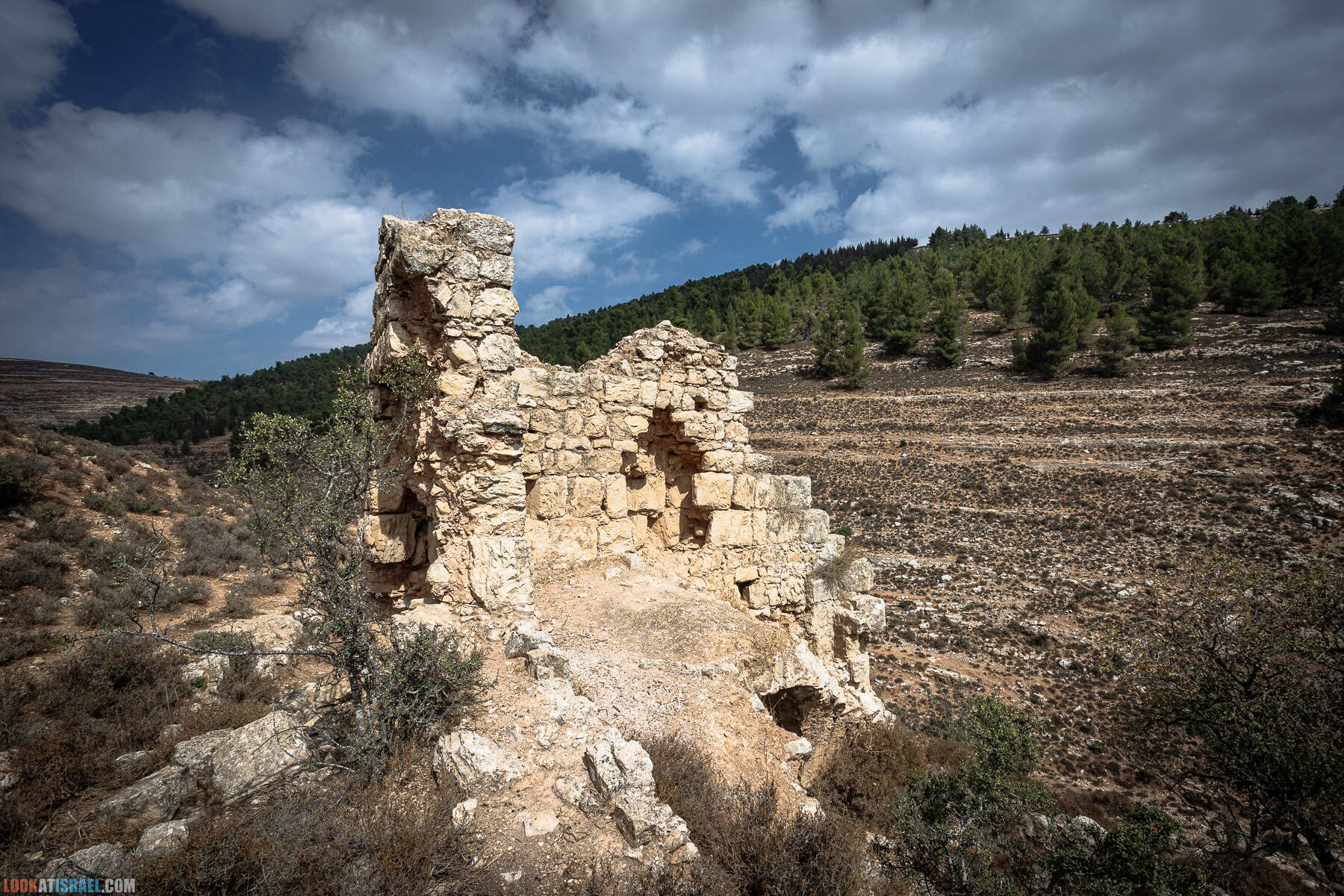 Поход вокруг Мевасерет Цион - Ущелья Халилим и Луза. Мосты Иерусалима