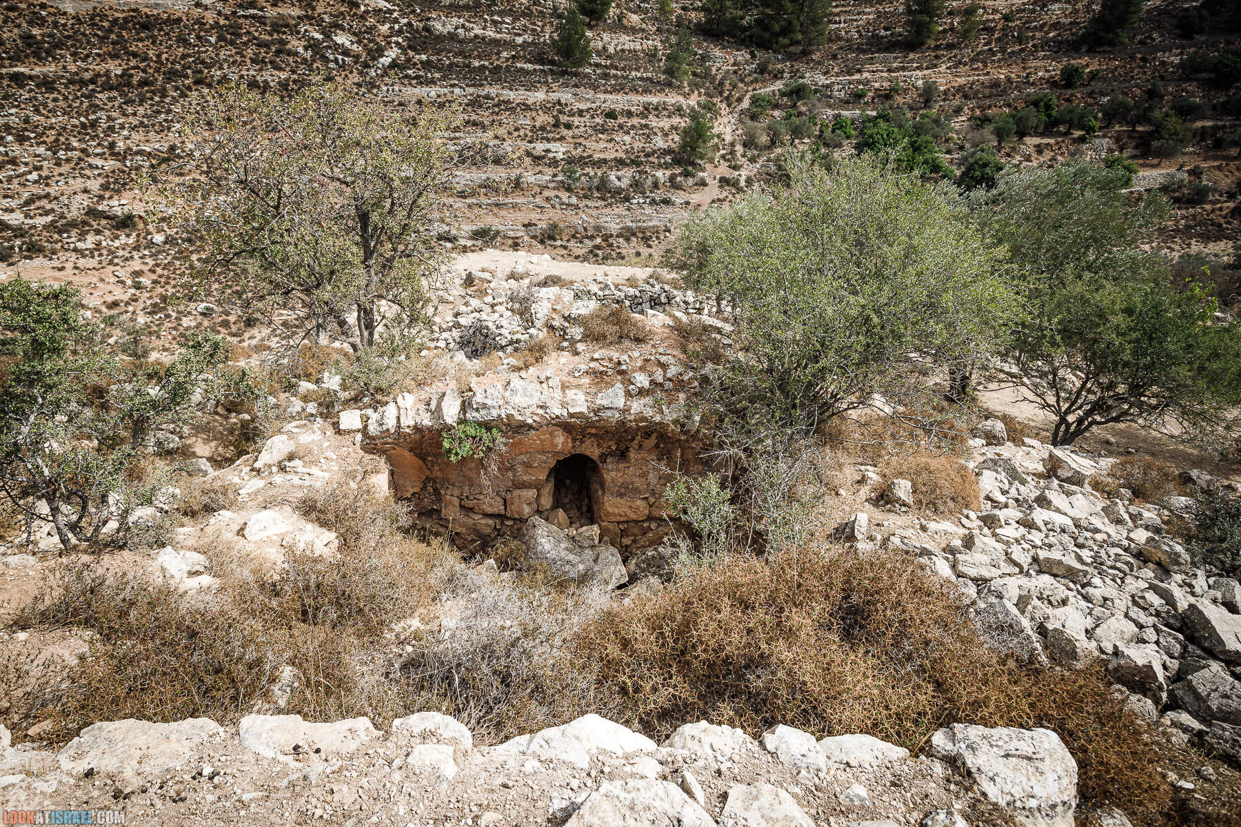 Поход вокруг Мевасерет Цион - Ущелья Халилим и Луза. Мосты Иерусалима