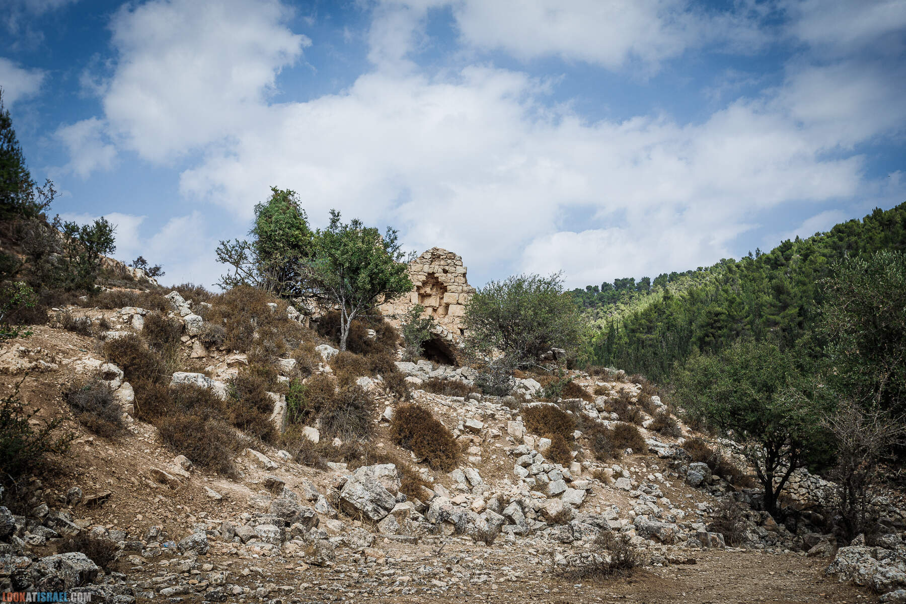 Поход вокруг Мевасерет Цион - Ущелья Халилим и Луза. Мосты Иерусалима
