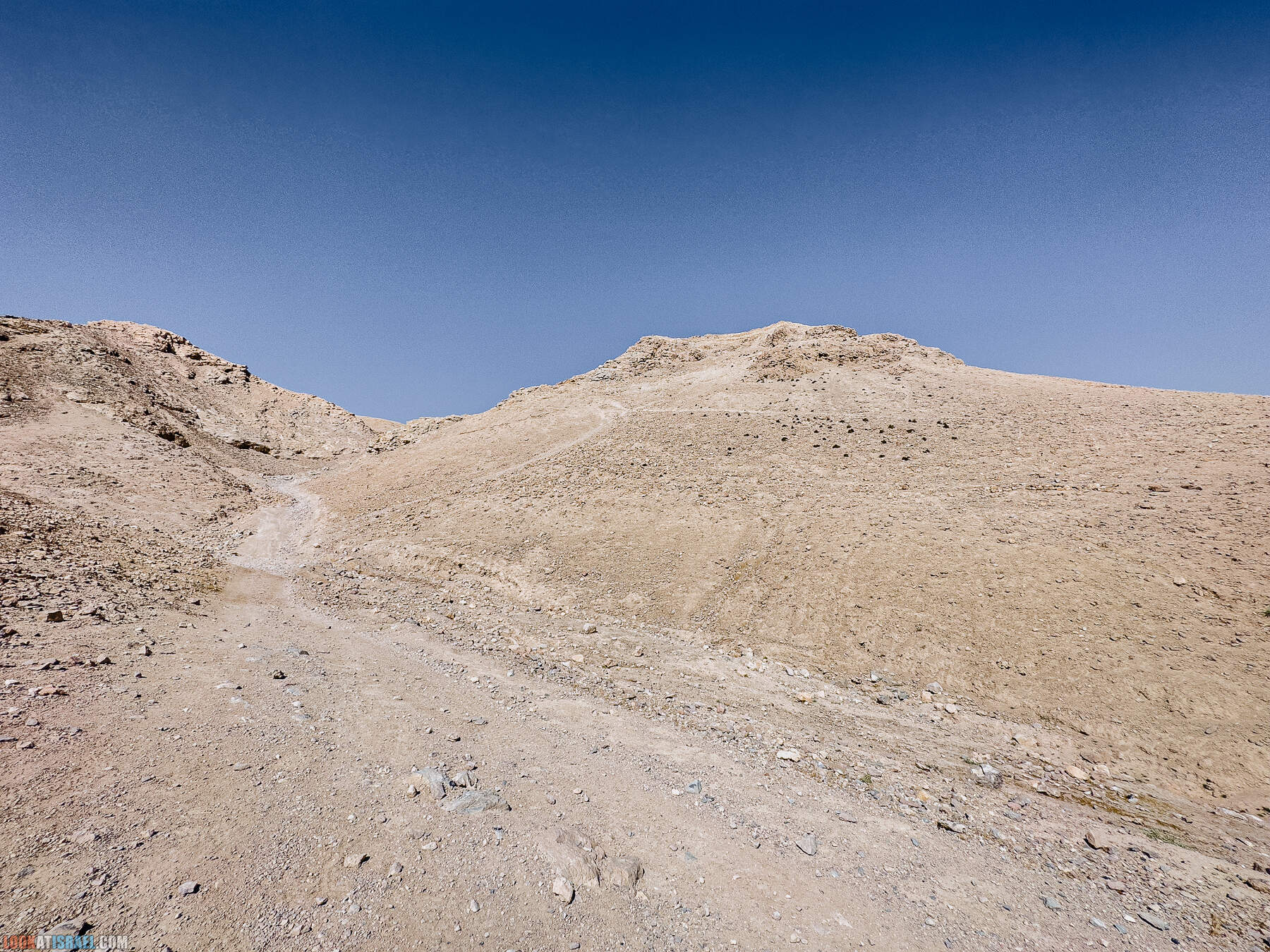 Путешествие корги на джипах по Иудейской пустыне - гора Мунтар (Азазель), монастырь Мар Саба, Гиркания, гора Рас Муакеф