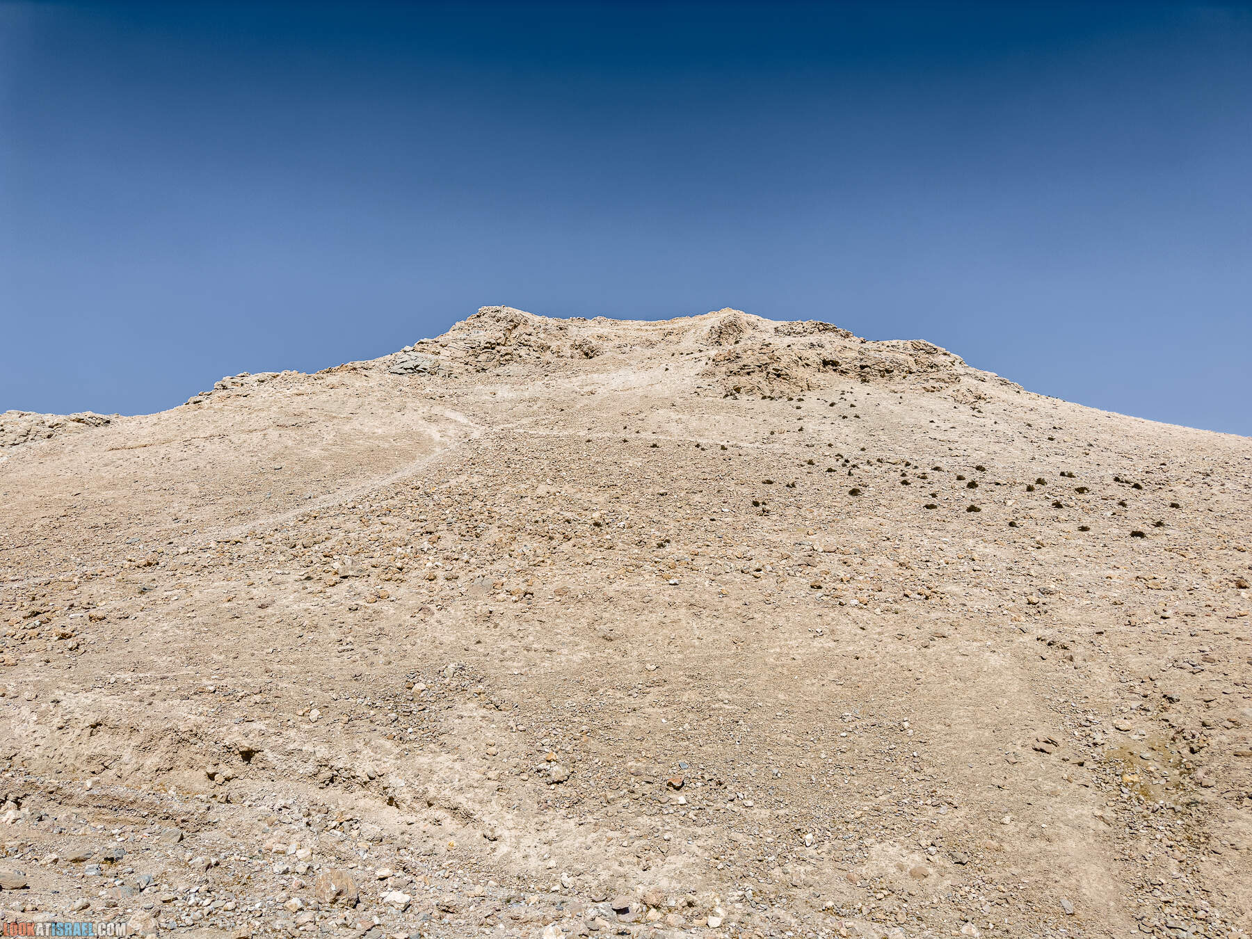 Путешествие корги на джипах по Иудейской пустыне - гора Мунтар (Азазель), монастырь Мар Саба, Гиркания, гора Рас Муакеф