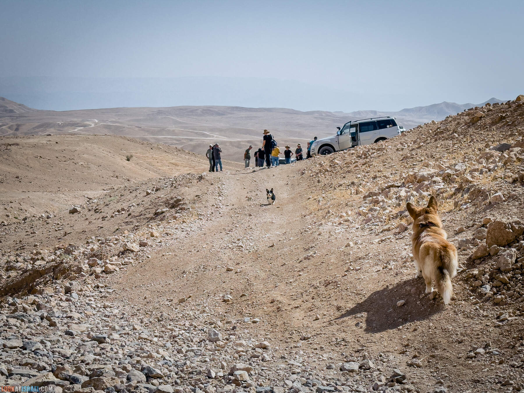 Путешествие корги на джипах по Иудейской пустыне - гора Мунтар (Азазель), монастырь Мар Саба, Гиркания, гора Рас Муакеф