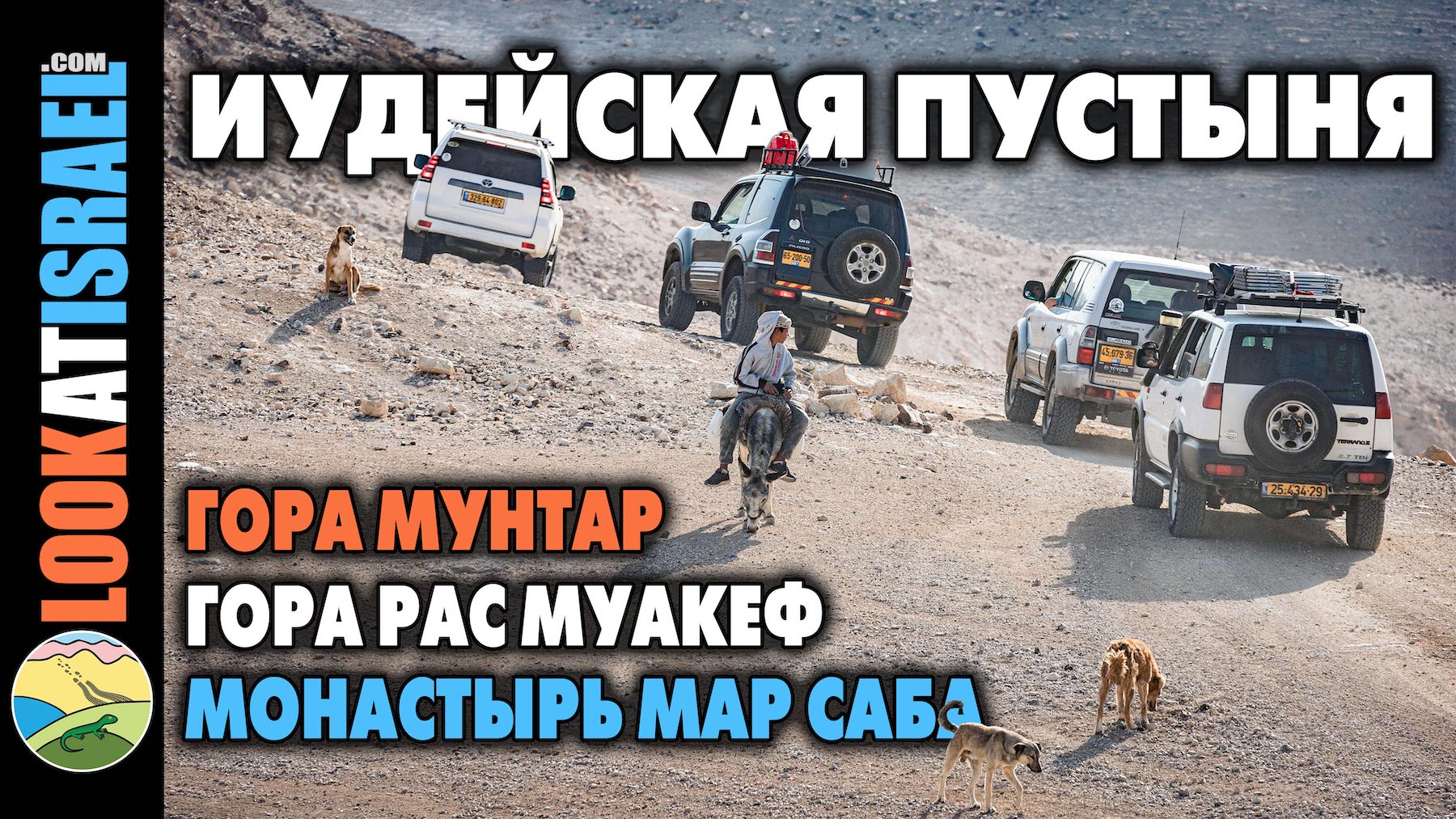 vlog Иудейская пустыня