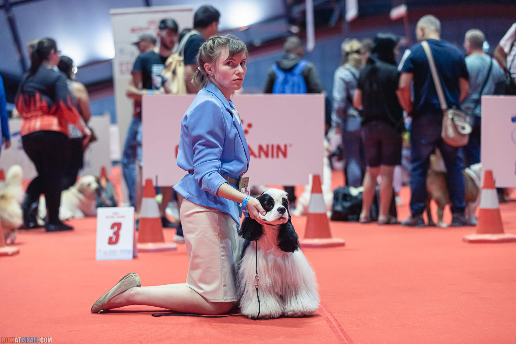 Международная выставка собак в Хайфе, Израиль - 5/11/2022 - International dog show in Haifa, Israel
