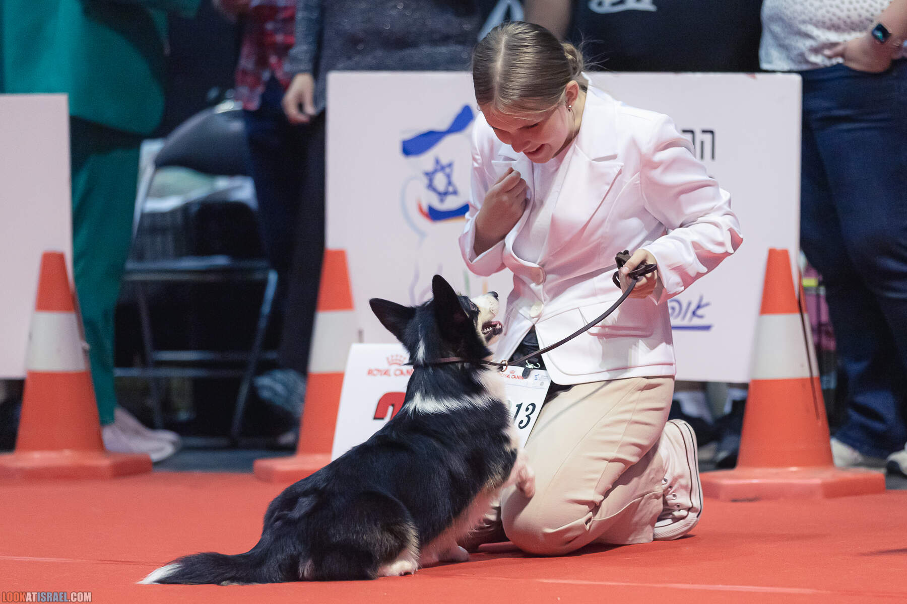 Международная выставка собак в Хайфе, Израиль - 5/11/2022 - International dog show in Haifa, Israel