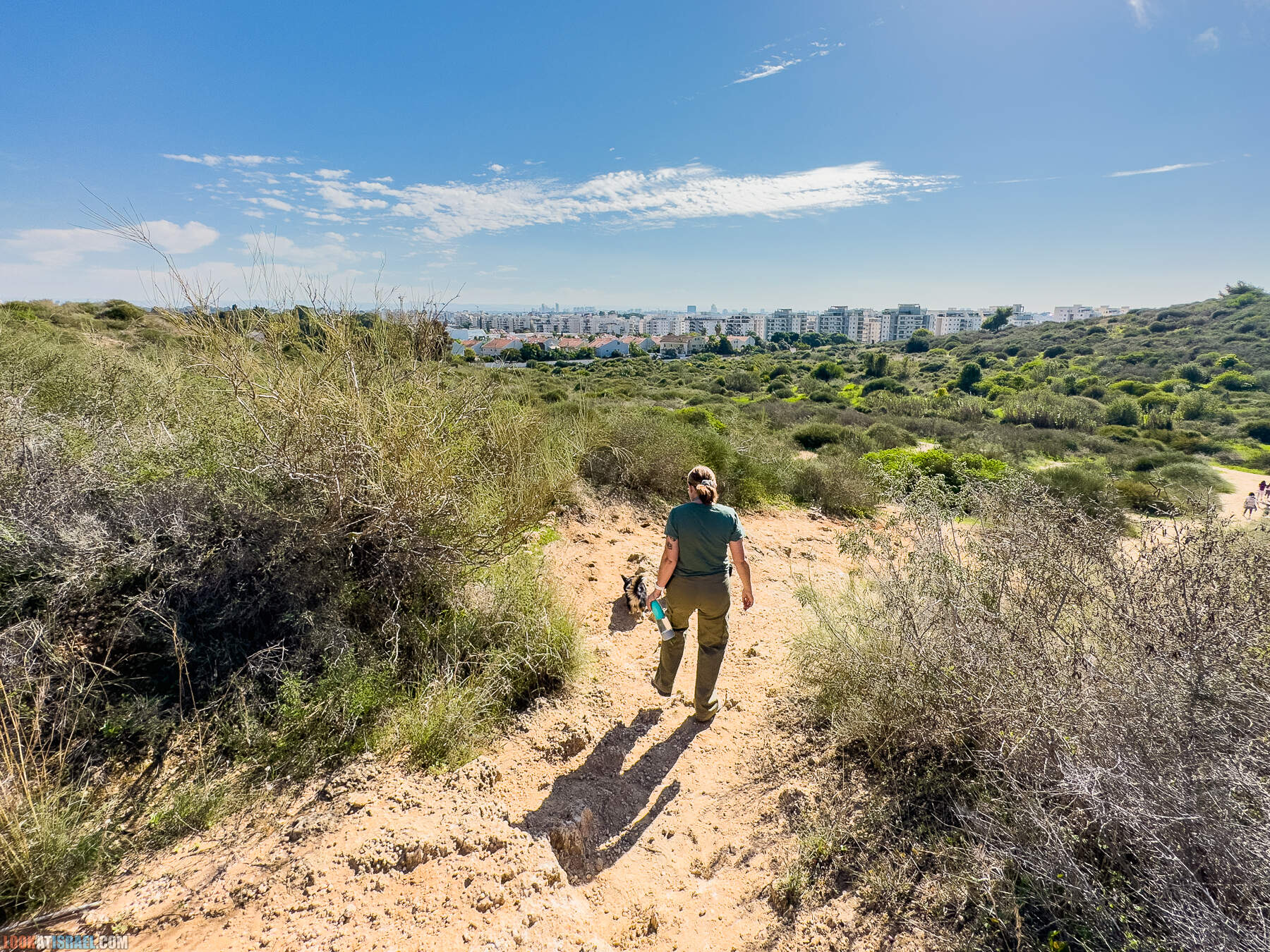 Прогулки с собакой в Израиле - холмы Нес Циона