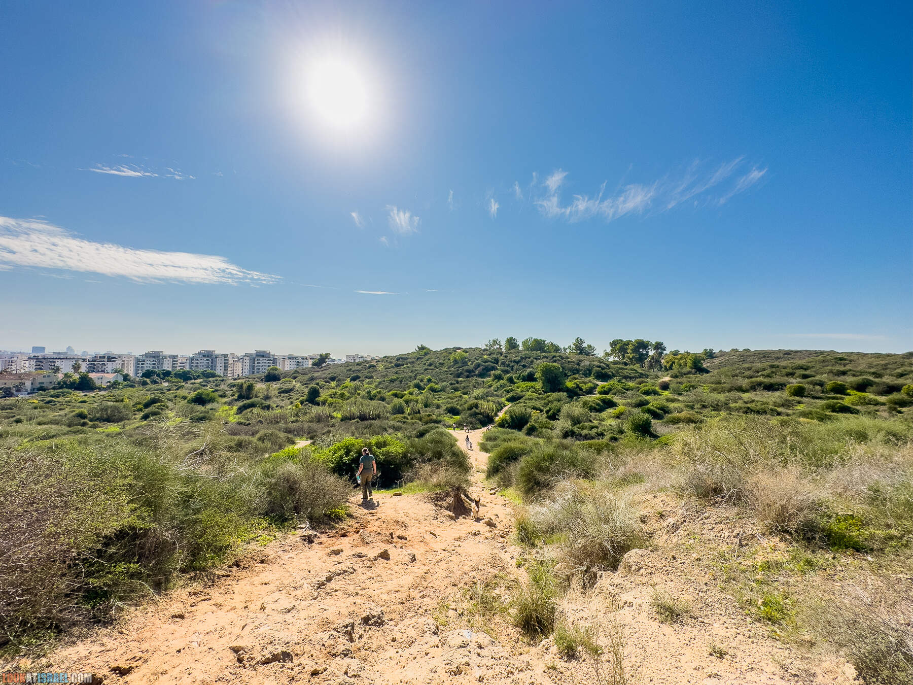 Прогулки с собакой в Израиле - холмы Нес Циона
