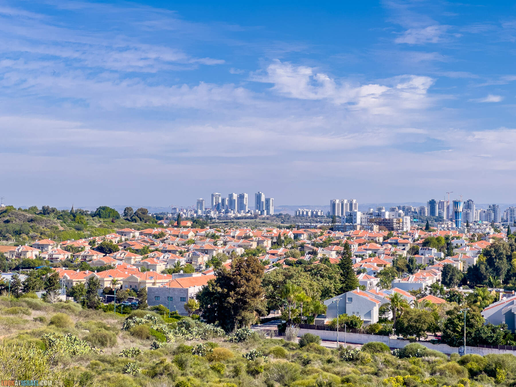 Прогулки с собакой в Израиле - холмы Нес Циона