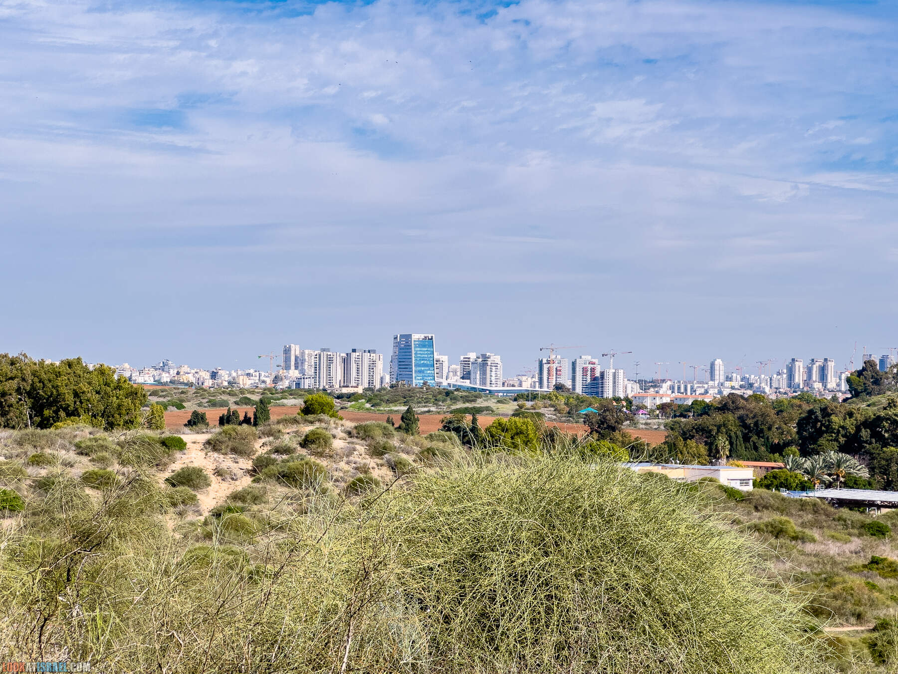 Прогулки с собакой в Израиле - холмы Нес Циона