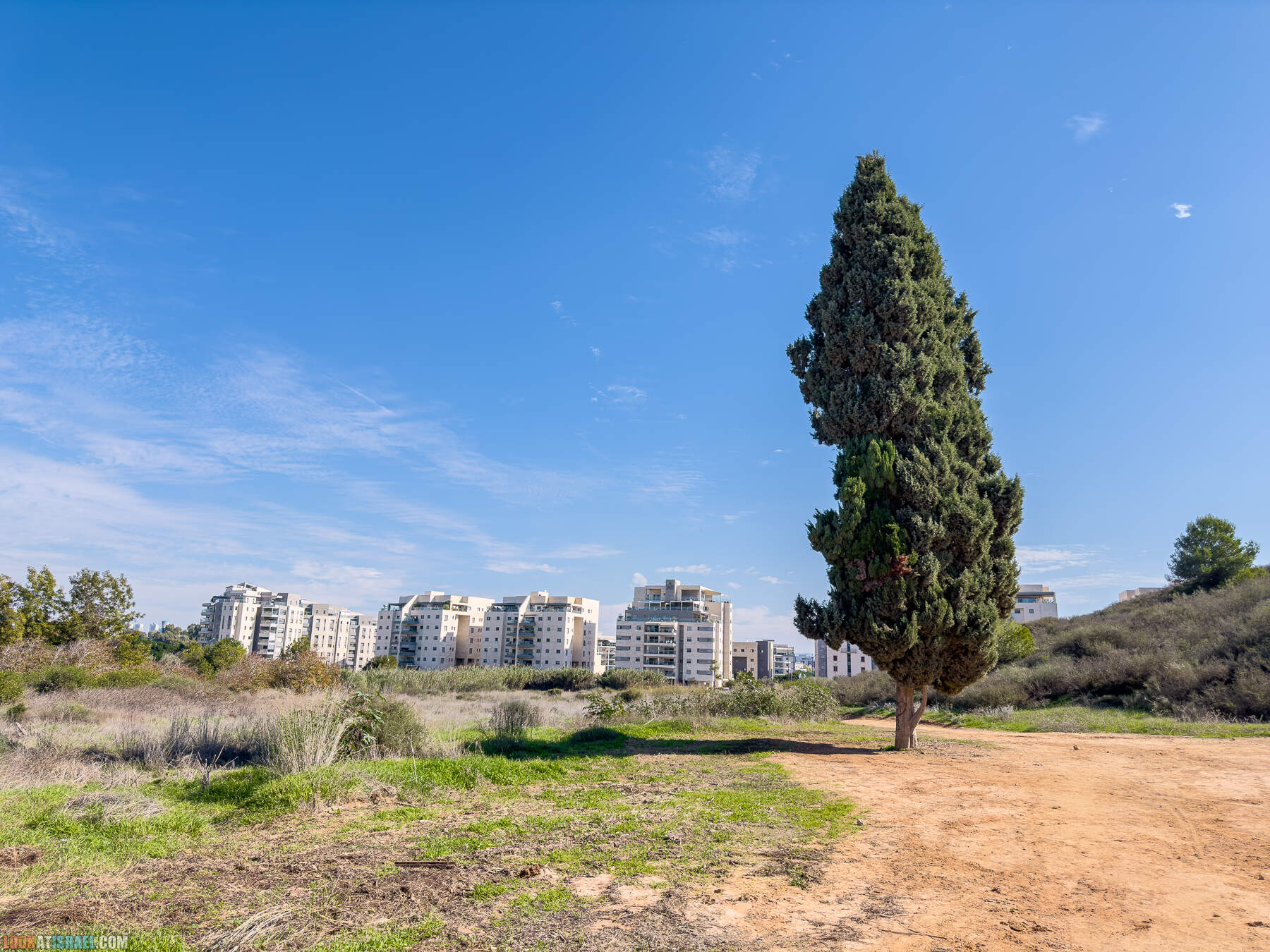 Прогулки с собакой в Израиле - холмы Нес Циона